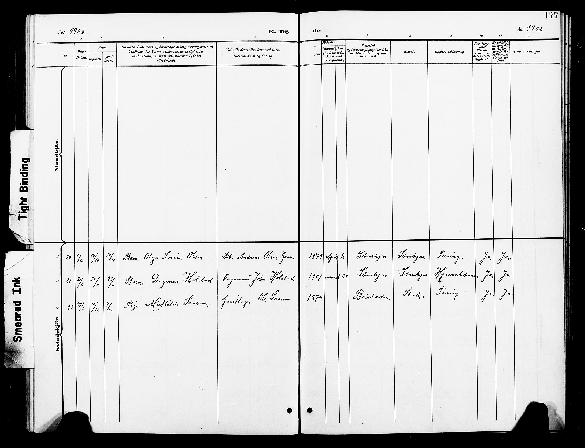 Ministerialprotokoller, klokkerbøker og fødselsregistre - Nord-Trøndelag, AV/SAT-A-1458/739/L0375: Parish register (copy) no. 739C03, 1898-1908, p. 177