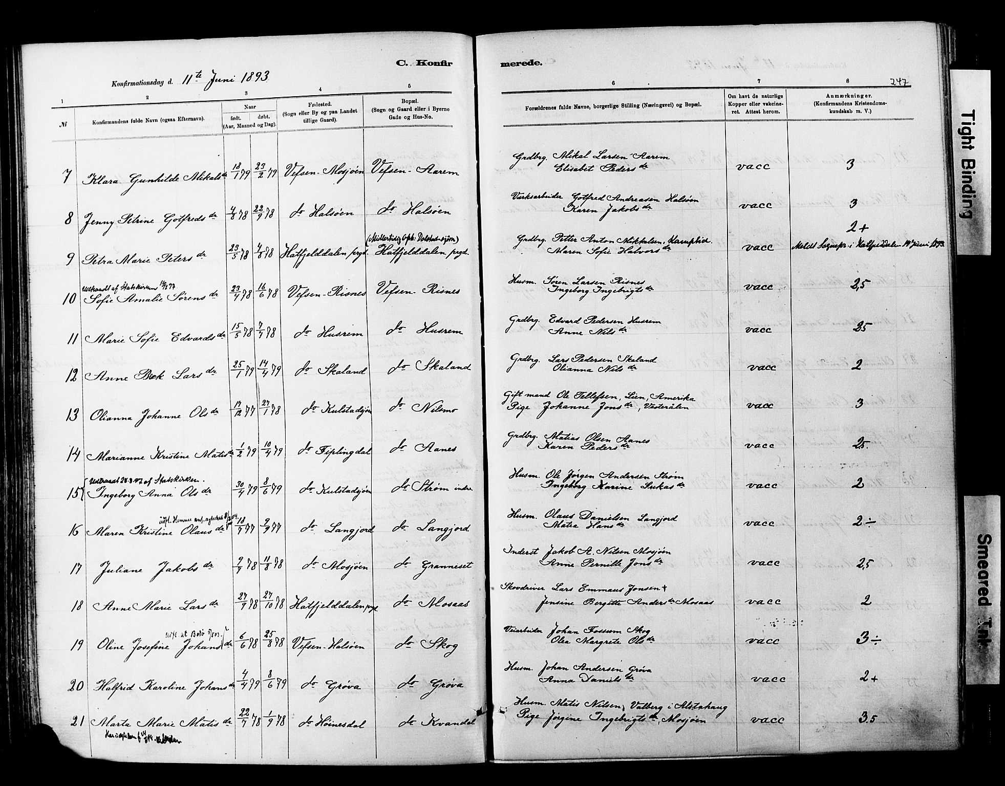 Ministerialprotokoller, klokkerbøker og fødselsregistre - Nordland, AV/SAT-A-1459/820/L0295: Parish register (official) no. 820A16, 1880-1896, p. 247