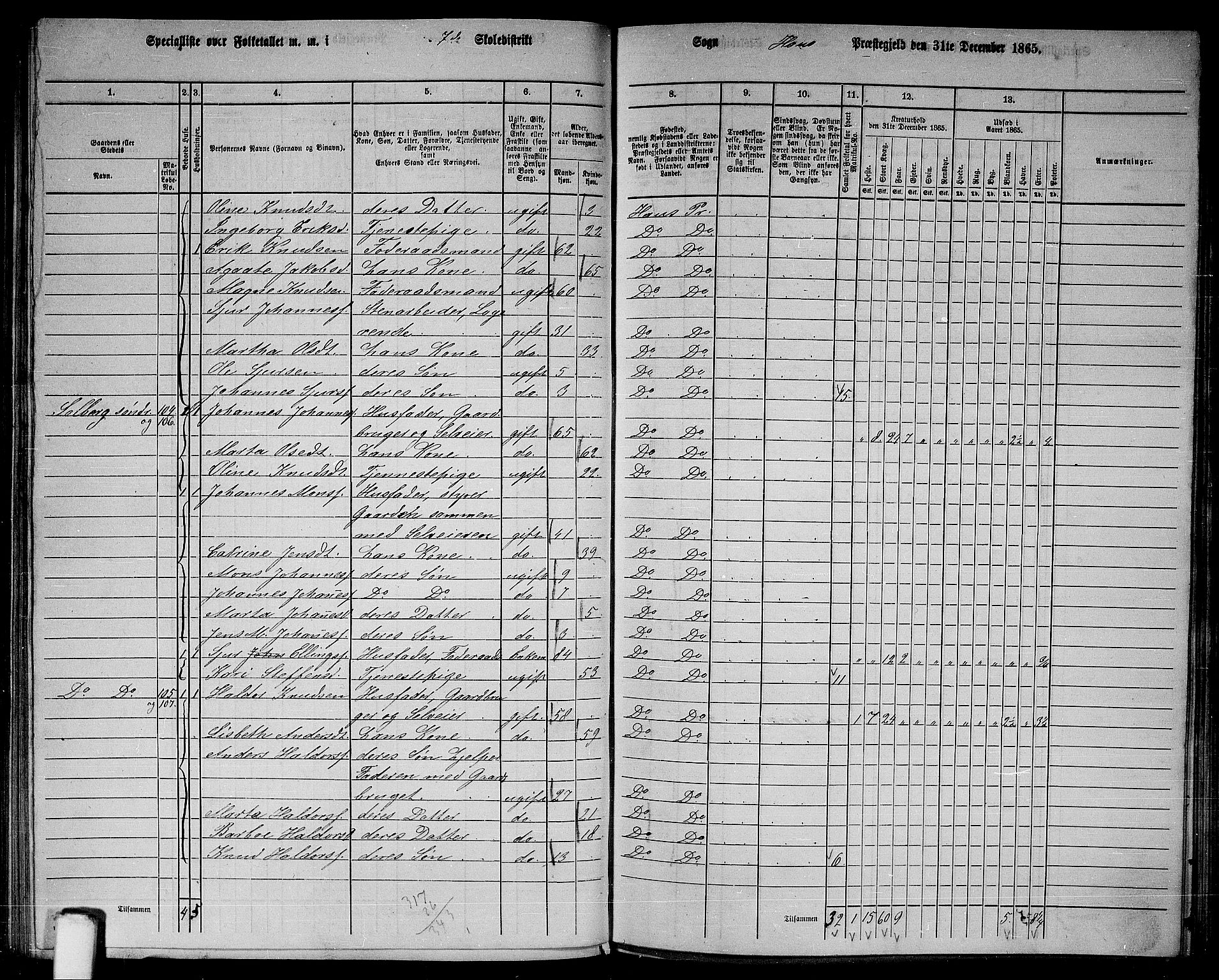 RA, 1865 census for Haus, 1865, p. 141