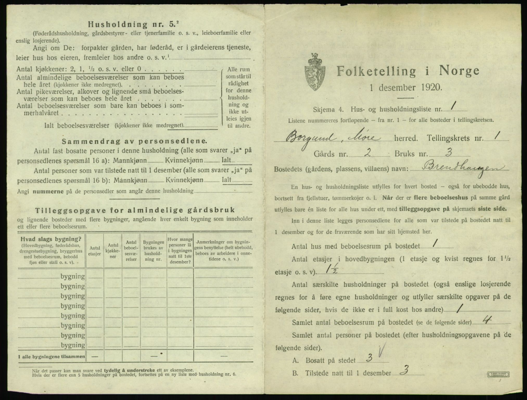 SAT, 1920 census for Borgund, 1920, p. 102