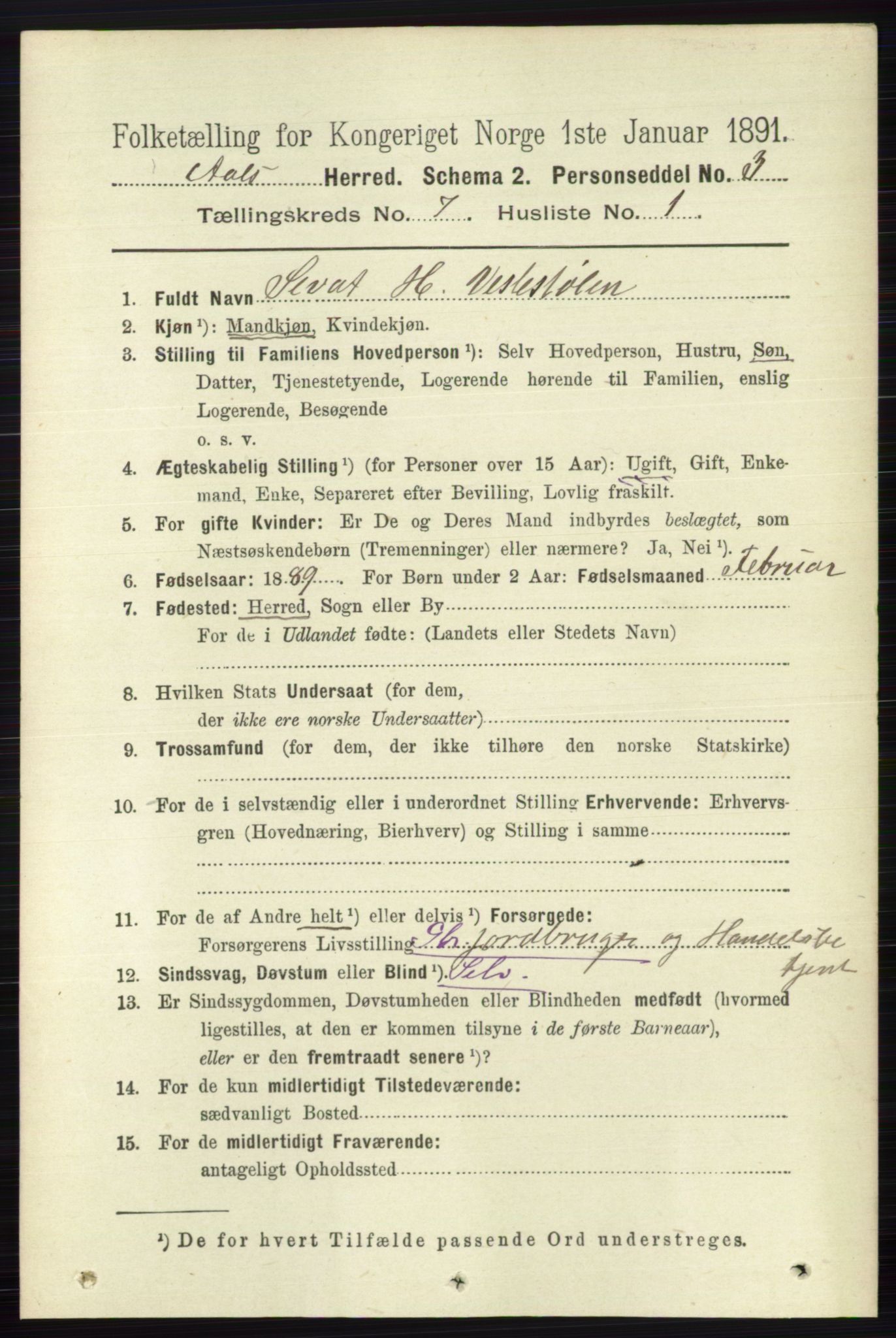 RA, 1891 census for 0619 Ål, 1891, p. 1829