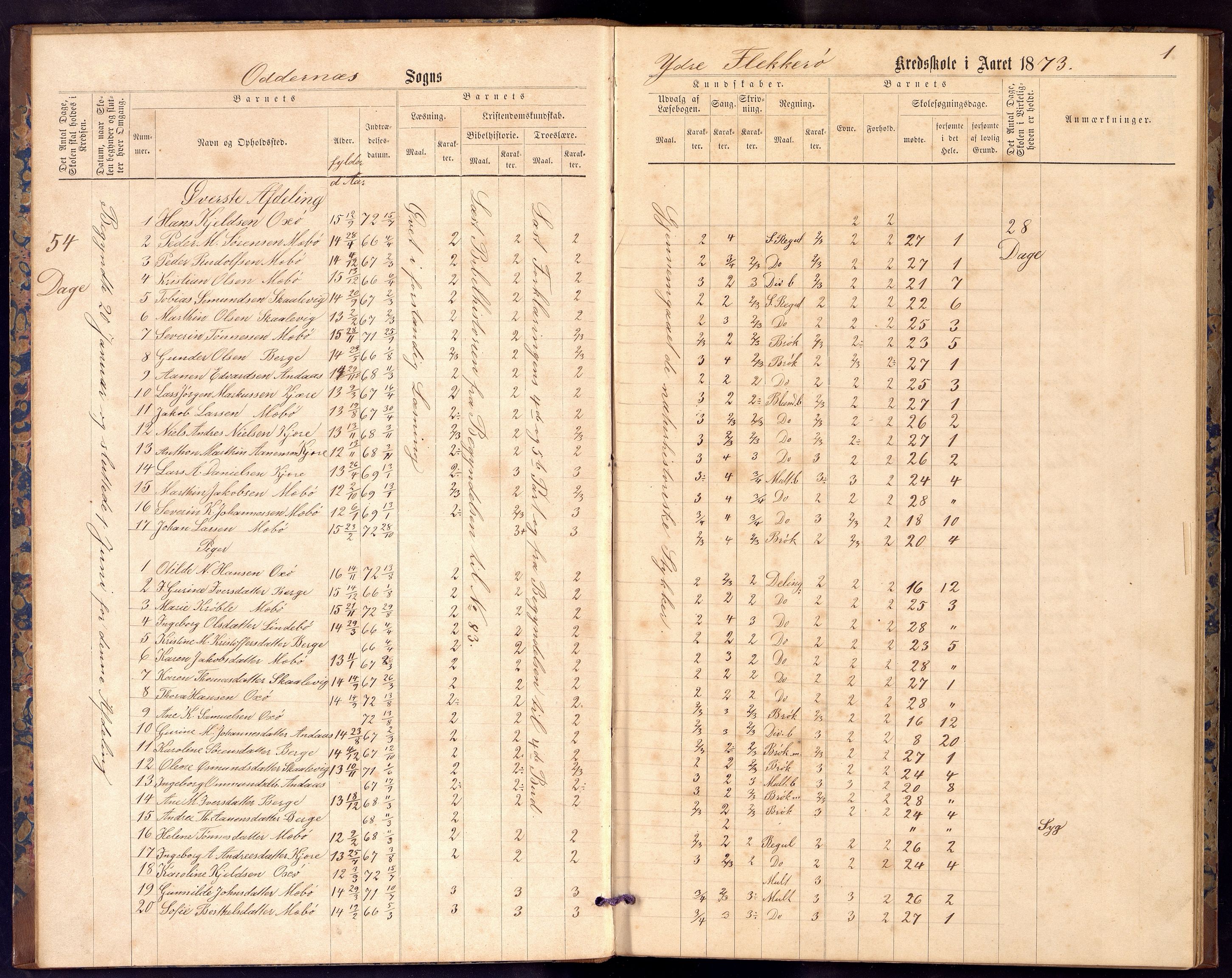 Oddernes kommune - Ytre Flekkerøy/Flekkerøy skolekrets, ARKSOR/1001OD553/I/Ia/L0012: Dagbok - Ytre Flekkerøy skolekrets, 1873-1882