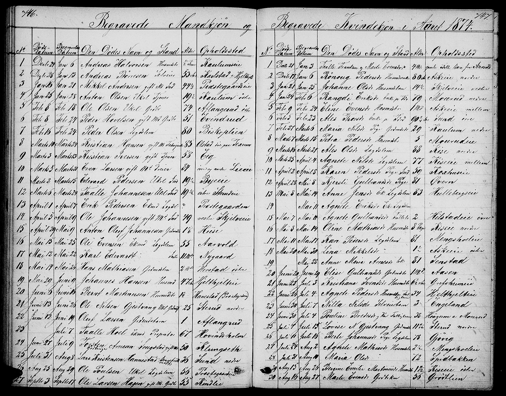 Nes prestekontor, Hedmark, AV/SAH-PREST-020/L/La/L0005: Parish register (copy) no. 5, 1852-1889, p. 746-747