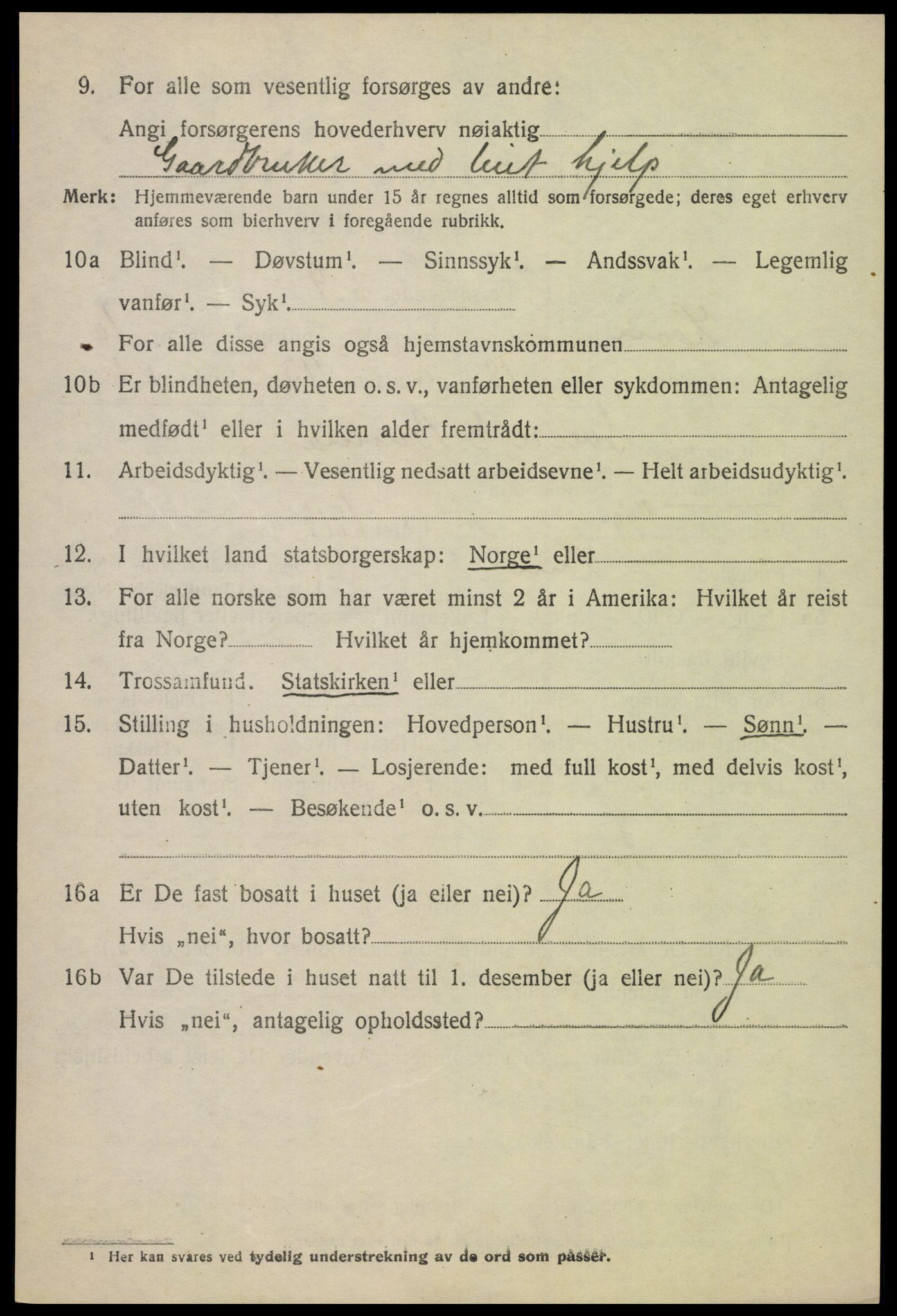 SAH, 1920 census for Lom, 1920, p. 5645