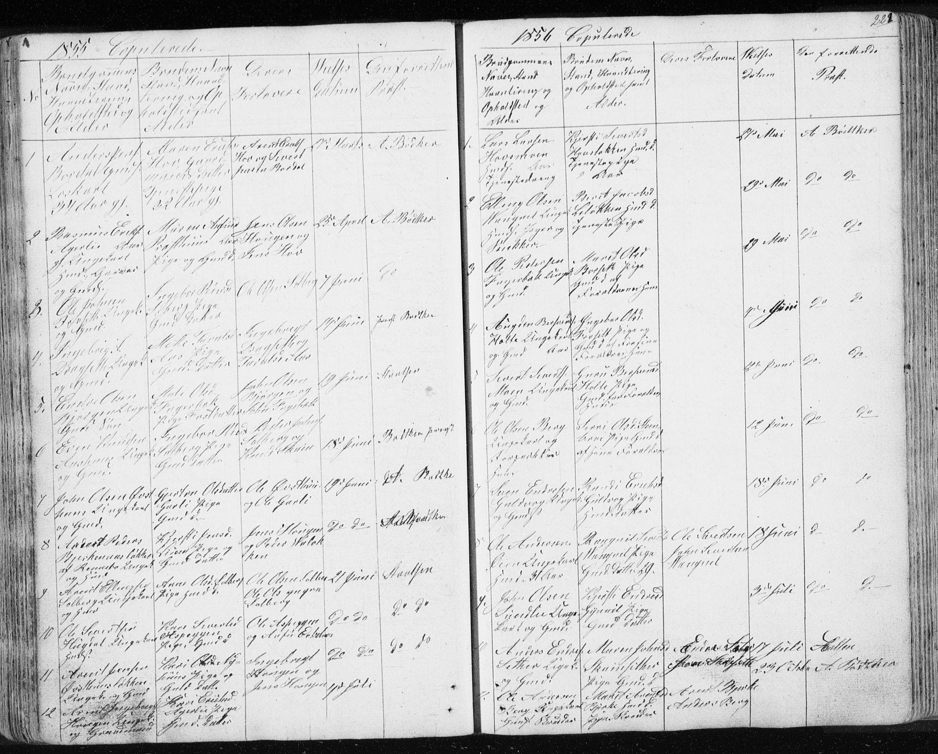 Ministerialprotokoller, klokkerbøker og fødselsregistre - Sør-Trøndelag, AV/SAT-A-1456/689/L1043: Parish register (copy) no. 689C02, 1816-1892, p. 222