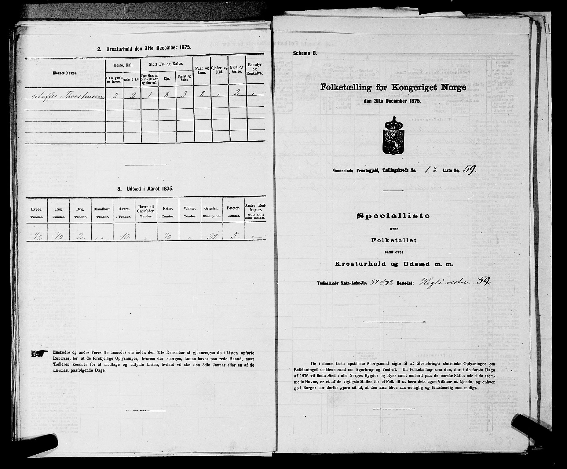 RA, 1875 census for 0238P Nannestad, 1875, p. 166