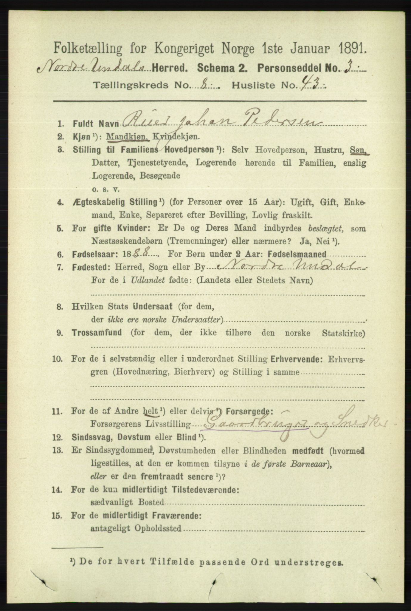 RA, 1891 census for 1028 Nord-Audnedal, 1891, p. 2294