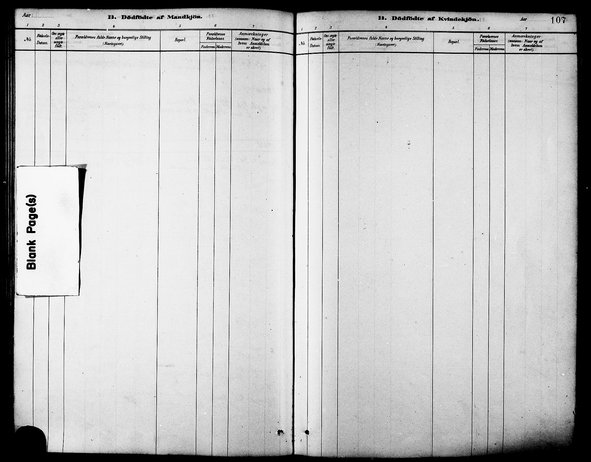 Ministerialprotokoller, klokkerbøker og fødselsregistre - Møre og Romsdal, AV/SAT-A-1454/502/L0027: Parish register (copy) no. 502C01, 1878-1908, p. 107