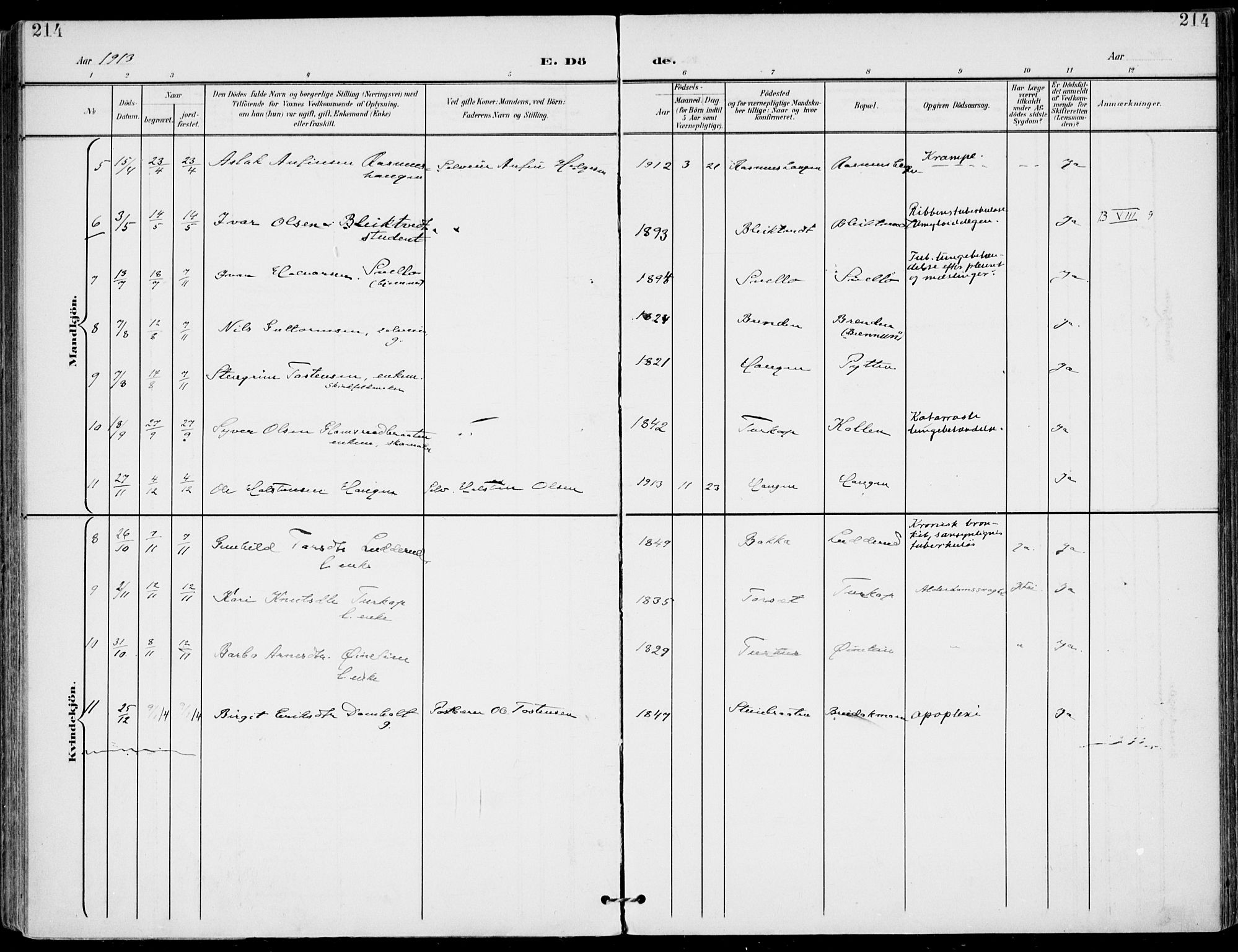 Gol kirkebøker, AV/SAKO-A-226/F/Fa/L0006: Parish register (official) no. I 6, 1901-1918, p. 214