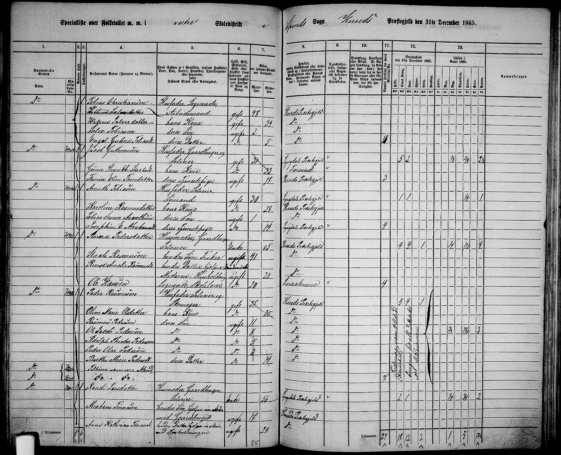 RA, 1865 census for Herad, 1865, p. 48