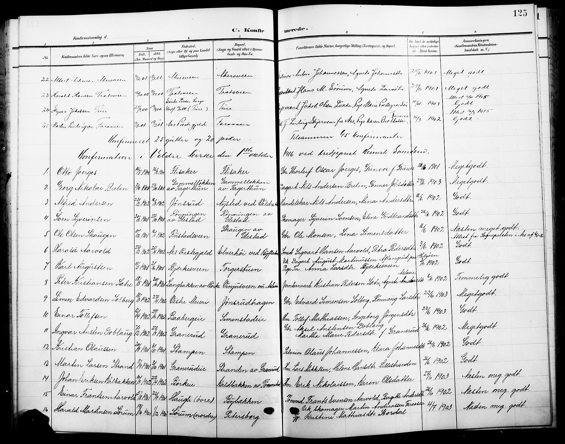 Ringsaker prestekontor, AV/SAH-PREST-014/L/La/L0017: Parish register (copy) no. 17, 1905-1920, p. 125