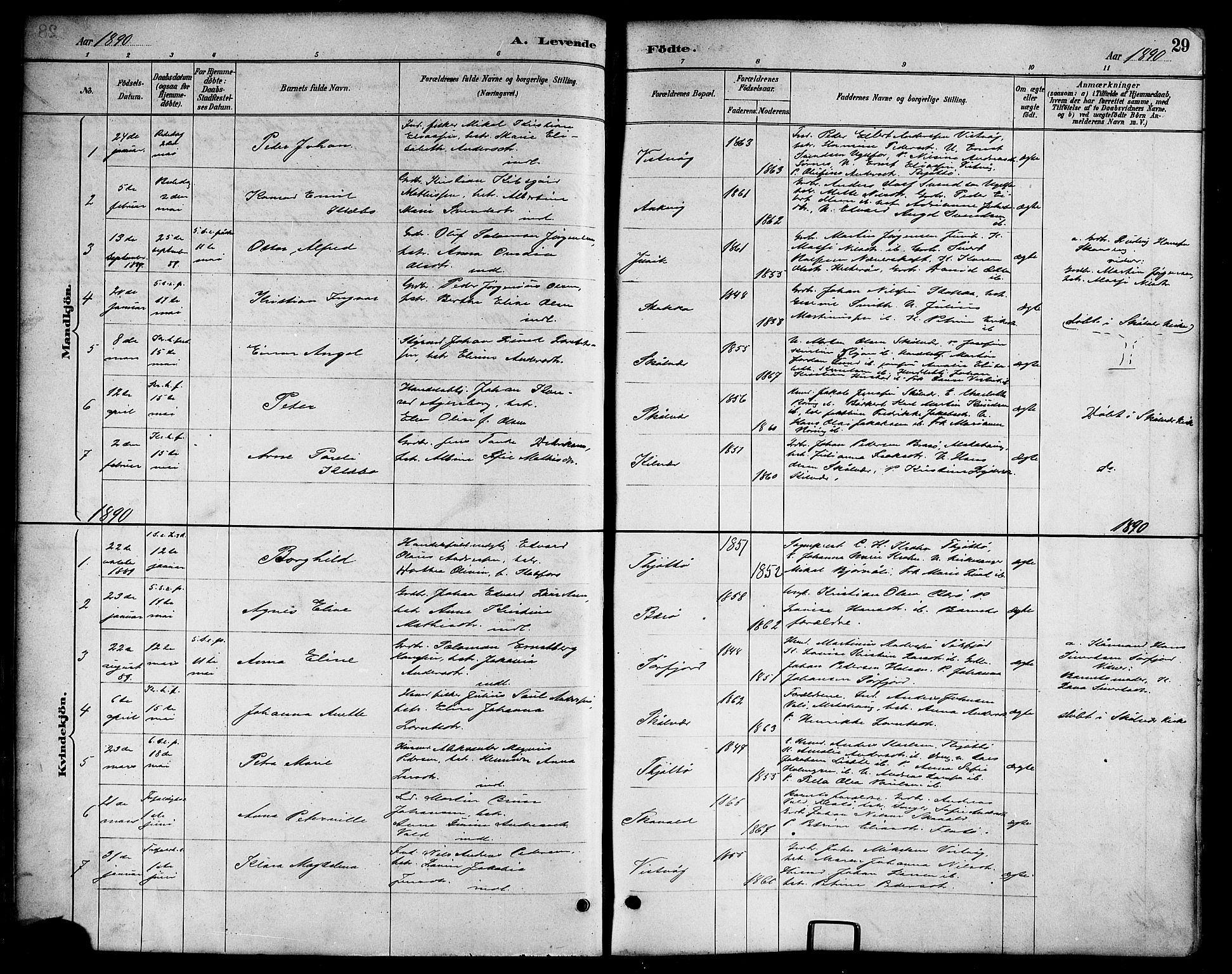 Ministerialprotokoller, klokkerbøker og fødselsregistre - Nordland, AV/SAT-A-1459/817/L0268: Parish register (copy) no. 817C03, 1884-1920, p. 29