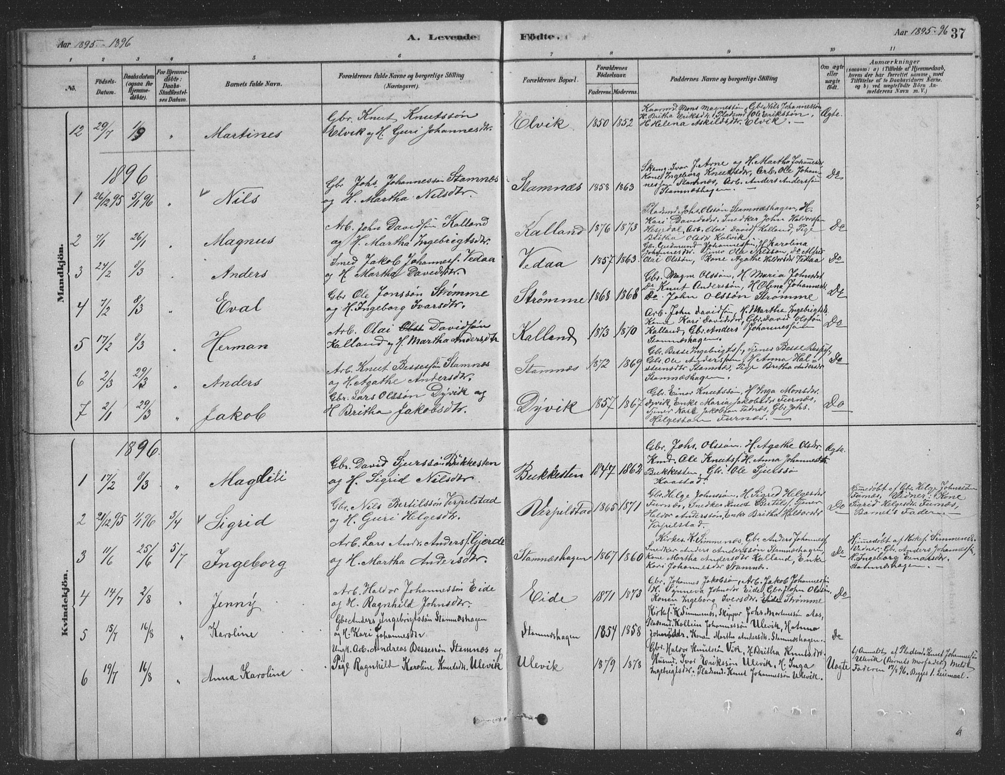 Vaksdal Sokneprestembete, SAB/A-78901/H/Hab: Parish register (copy) no. D 1, 1878-1939, p. 37