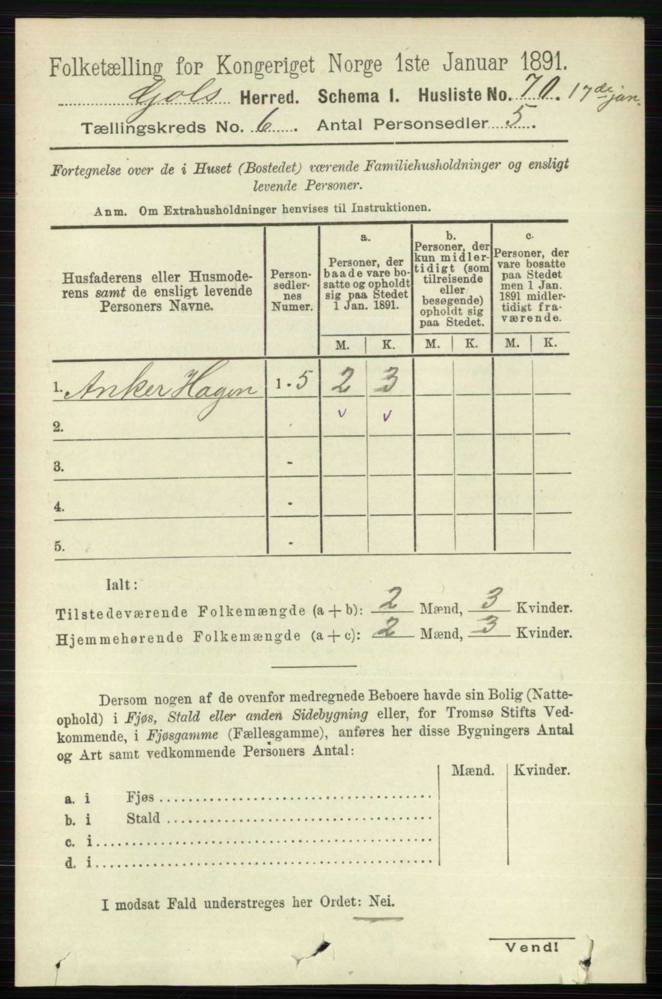 RA, 1891 census for 0617 Gol og Hemsedal, 1891, p. 2419