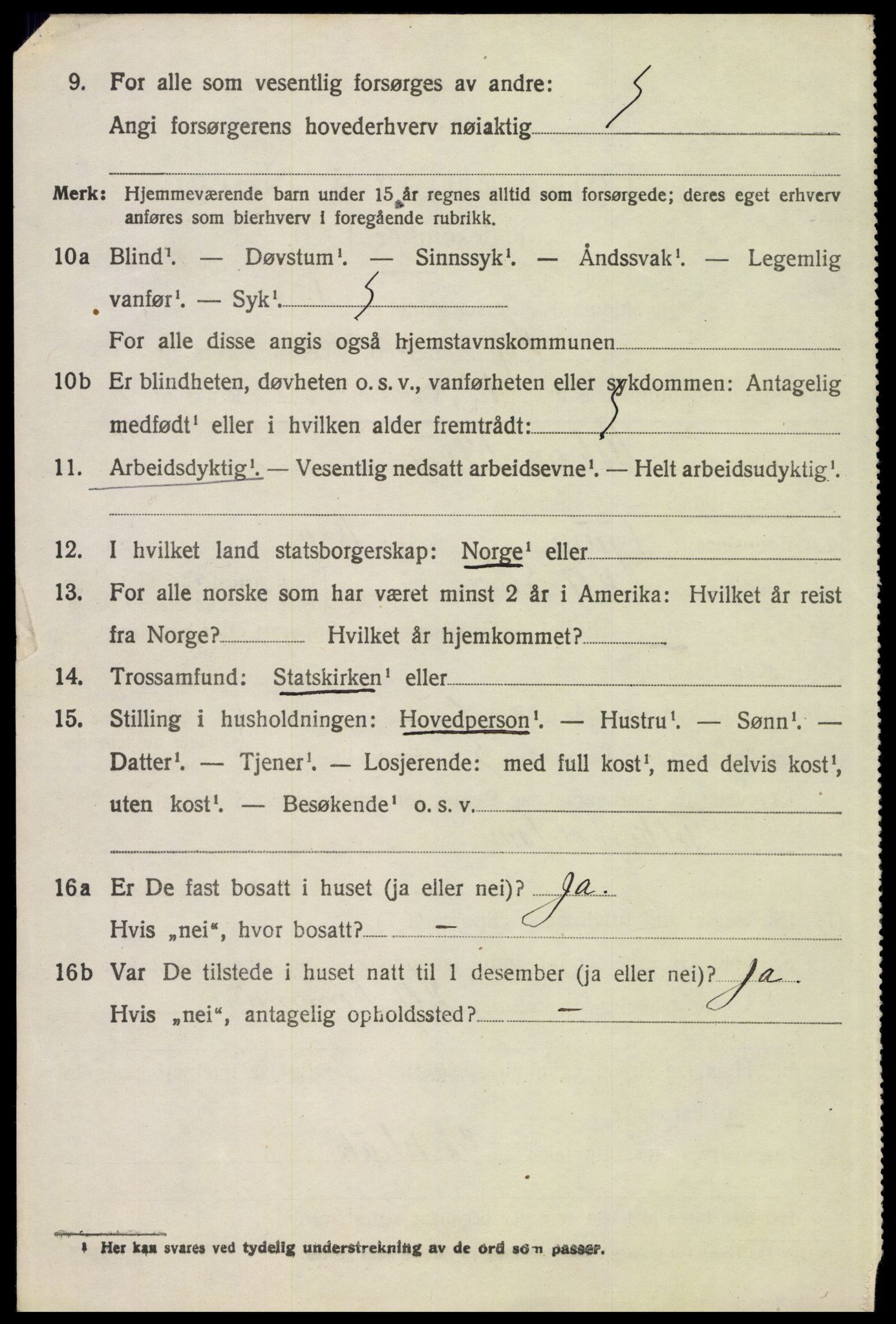 SAH, 1920 census for Hof, 1920, p. 1262