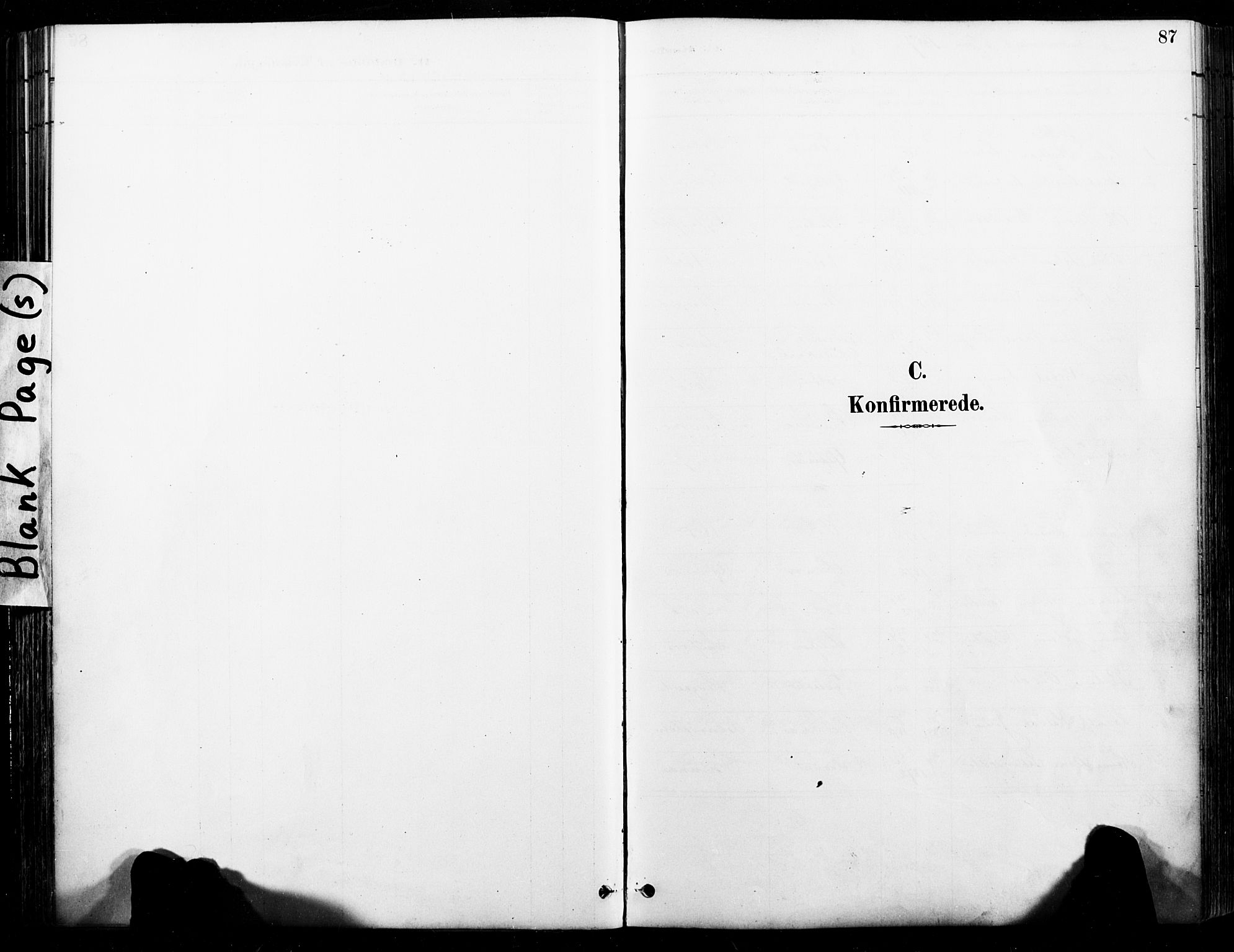 Ministerialprotokoller, klokkerbøker og fødselsregistre - Nordland, SAT/A-1459/846/L0646: Parish register (official) no. 846A04, 1887-1901, p. 87