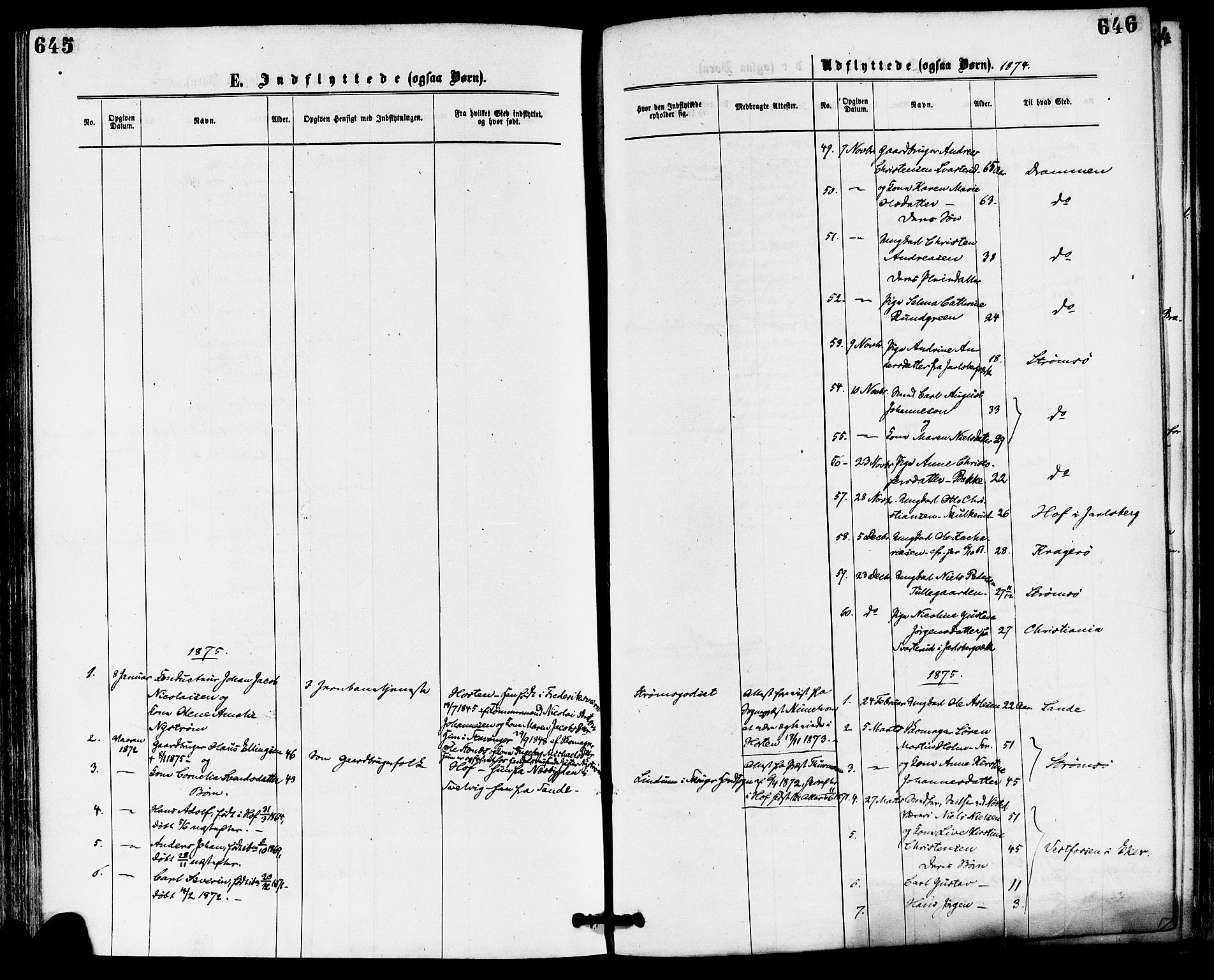 Skoger kirkebøker, AV/SAKO-A-59/F/Fa/L0005: Parish register (official) no. I 5, 1873-1884, p. 645-646