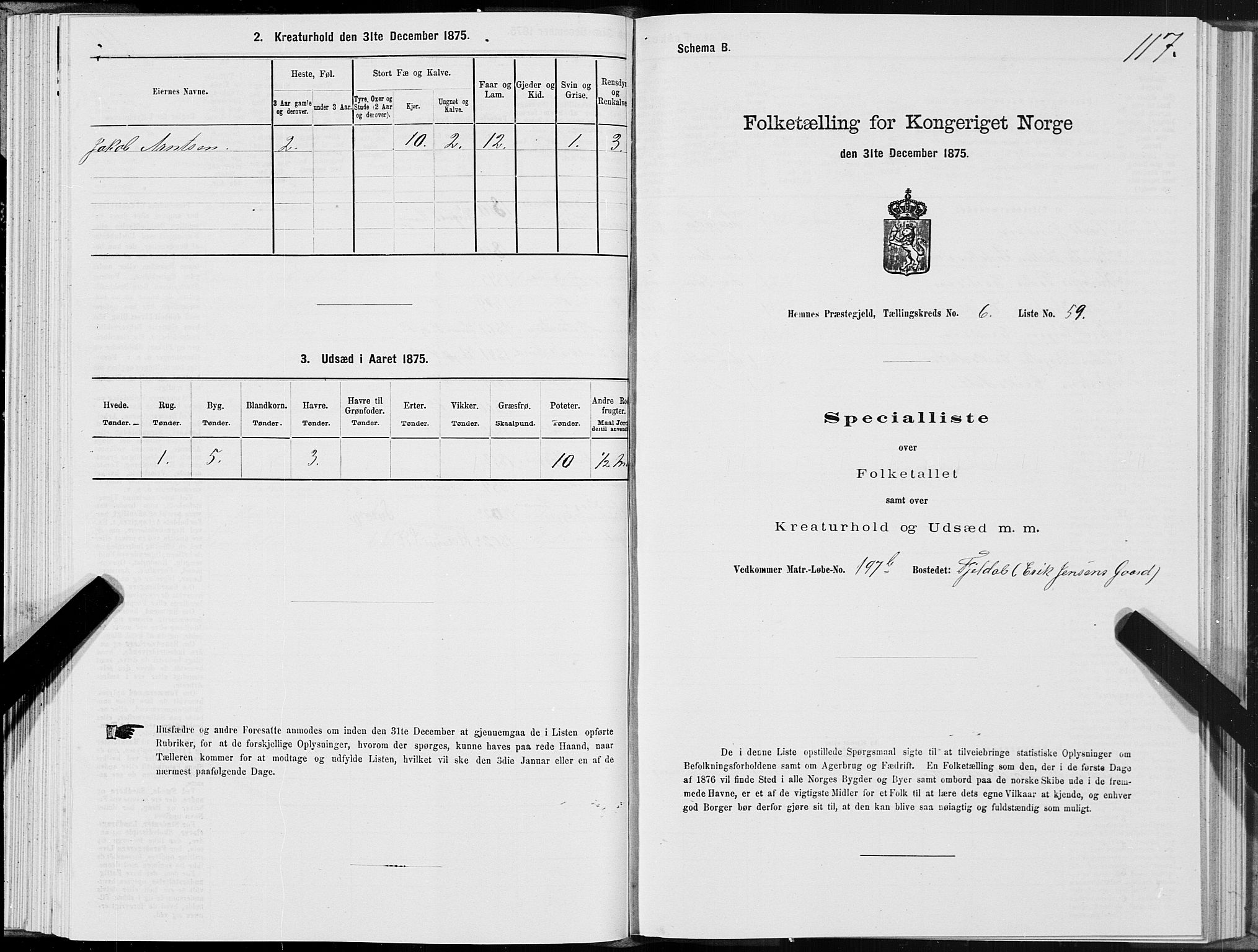 SAT, 1875 census for 1832P Hemnes, 1875, p. 4117