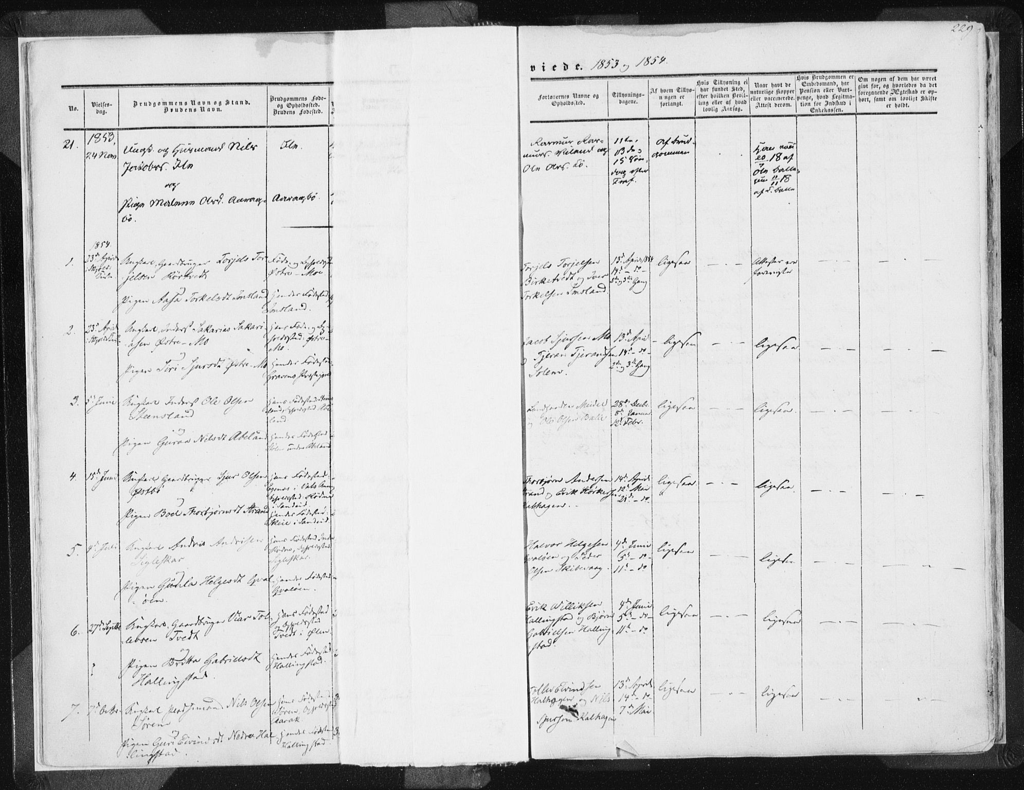 Vikedal sokneprestkontor, AV/SAST-A-101840/01/IV: Parish register (official) no. A 6.2, 1851-1867, p. 229