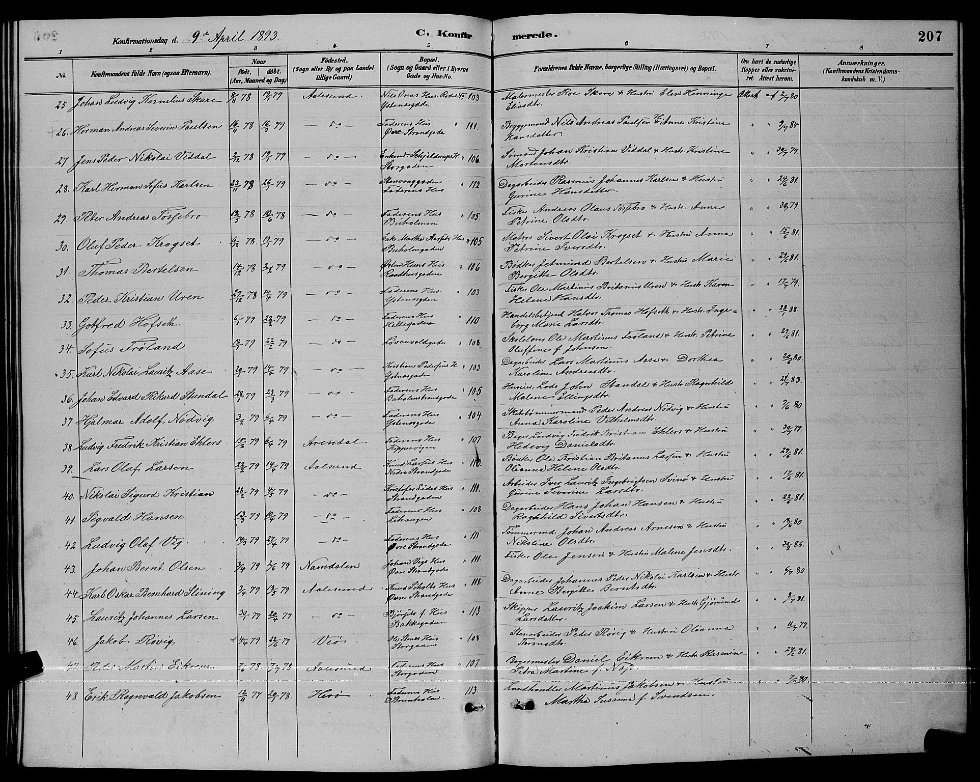 Ministerialprotokoller, klokkerbøker og fødselsregistre - Møre og Romsdal, AV/SAT-A-1454/529/L0467: Parish register (copy) no. 529C04, 1889-1897, p. 207