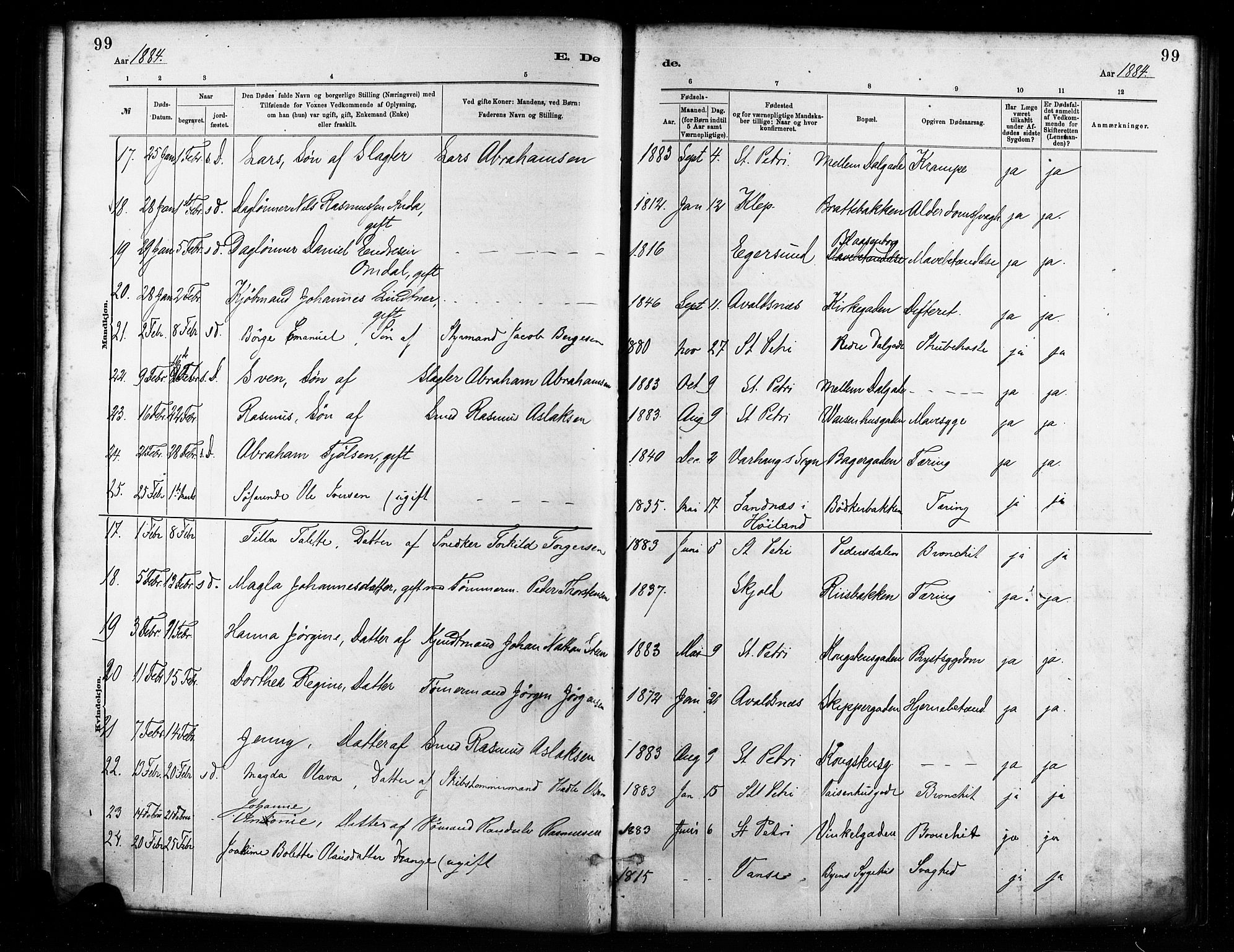 St. Petri sokneprestkontor, AV/SAST-A-101813/001/30/30BA/L0017: Parish register (official) no. A 17, 1879-1895, p. 99