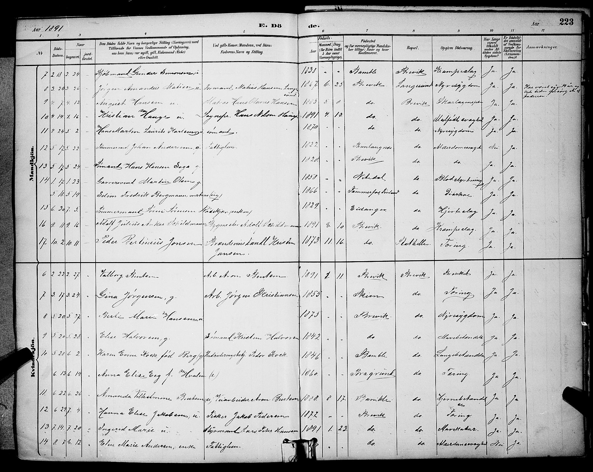 Brevik kirkebøker, SAKO/A-255/G/Ga/L0004: Parish register (copy) no. 4, 1882-1900, p. 223