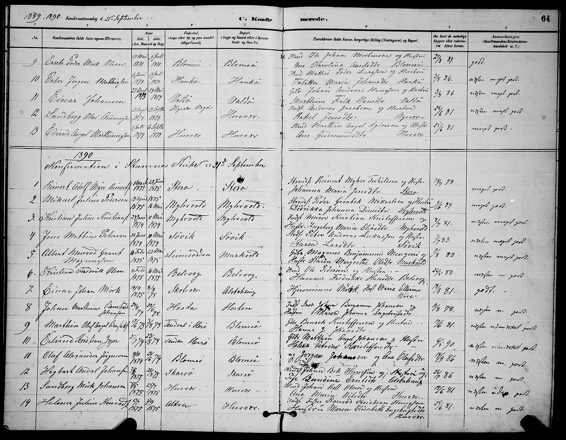 Ministerialprotokoller, klokkerbøker og fødselsregistre - Nordland, AV/SAT-A-1459/830/L0462: Parish register (copy) no. 830C04, 1882-1895, p. 64