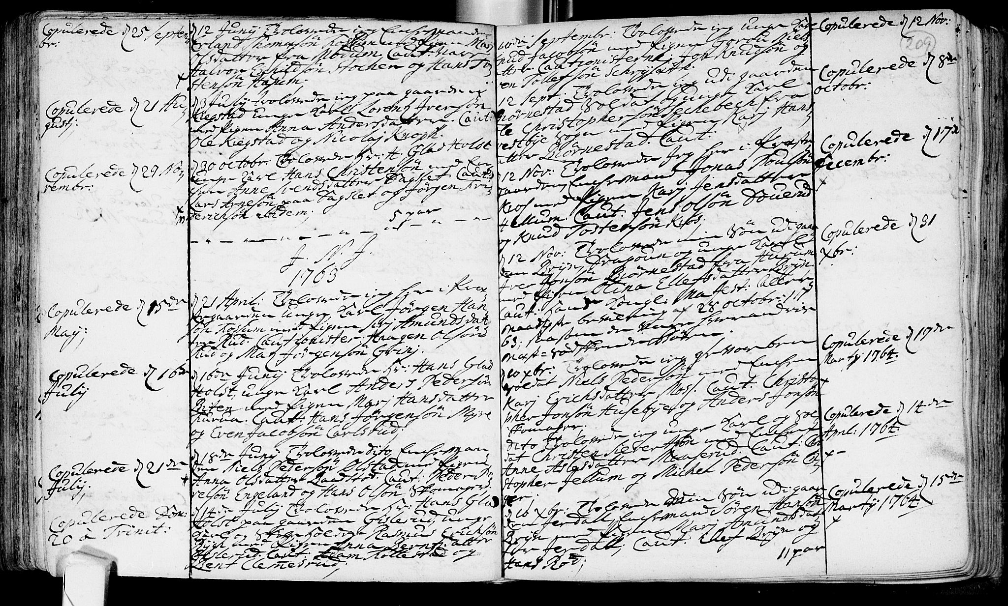 Røyken kirkebøker, AV/SAKO-A-241/F/Fa/L0002: Parish register (official) no. 2, 1731-1782, p. 209