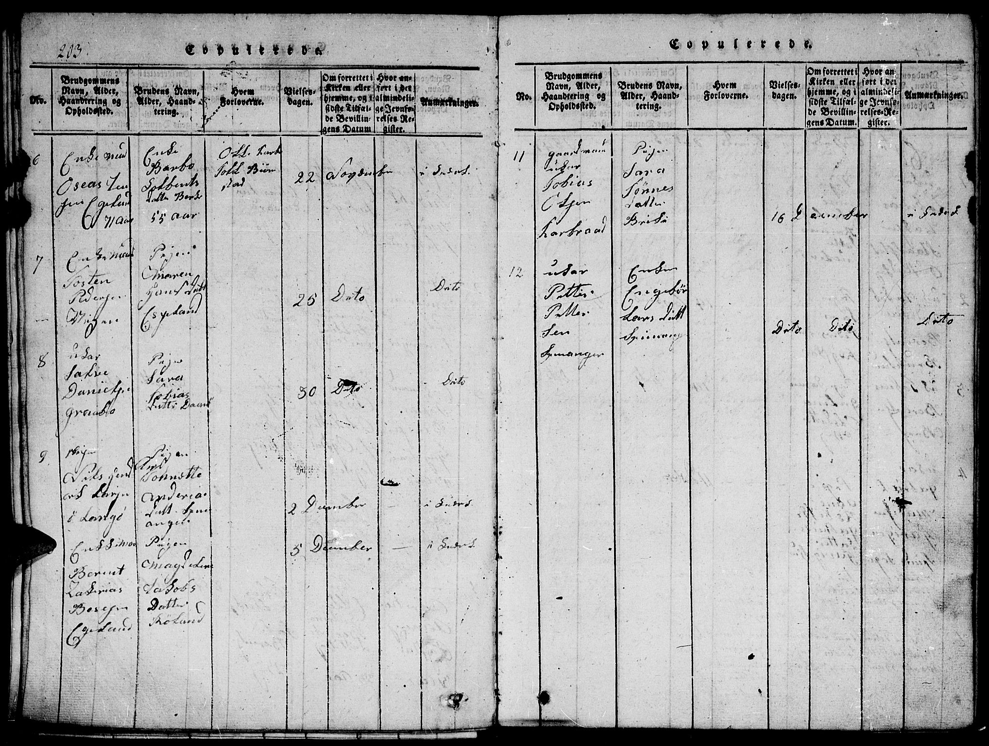 Herad sokneprestkontor, AV/SAK-1111-0018/F/Fb/Fbb/L0001: Parish register (copy) no. B 1, 1815-1852, p. 203