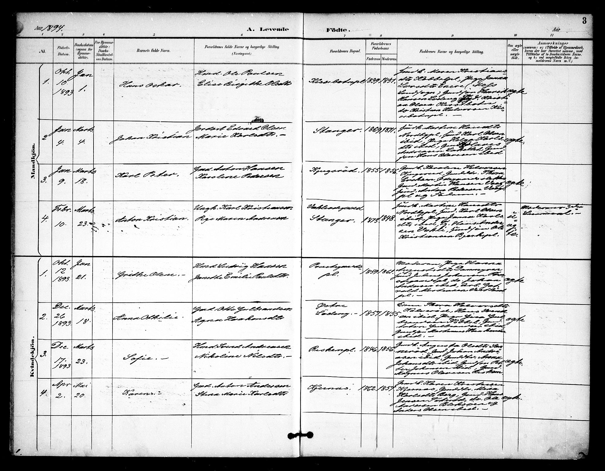 Våler prestekontor Kirkebøker, AV/SAO-A-11083/F/Fa/L0011: Parish register (official) no. I 11, 1893-1909, p. 3