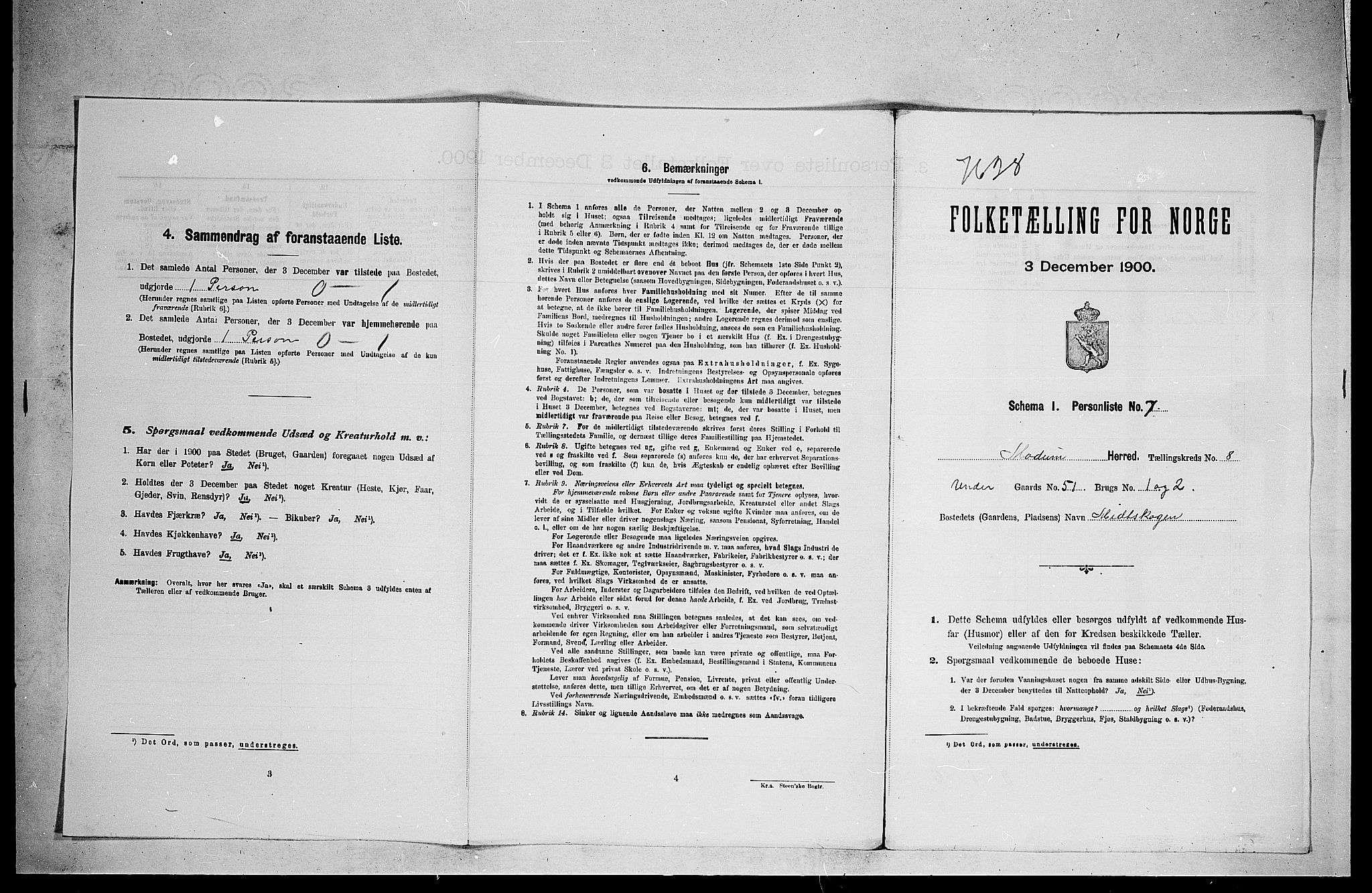 RA, 1900 census for Modum, 1900, p. 918