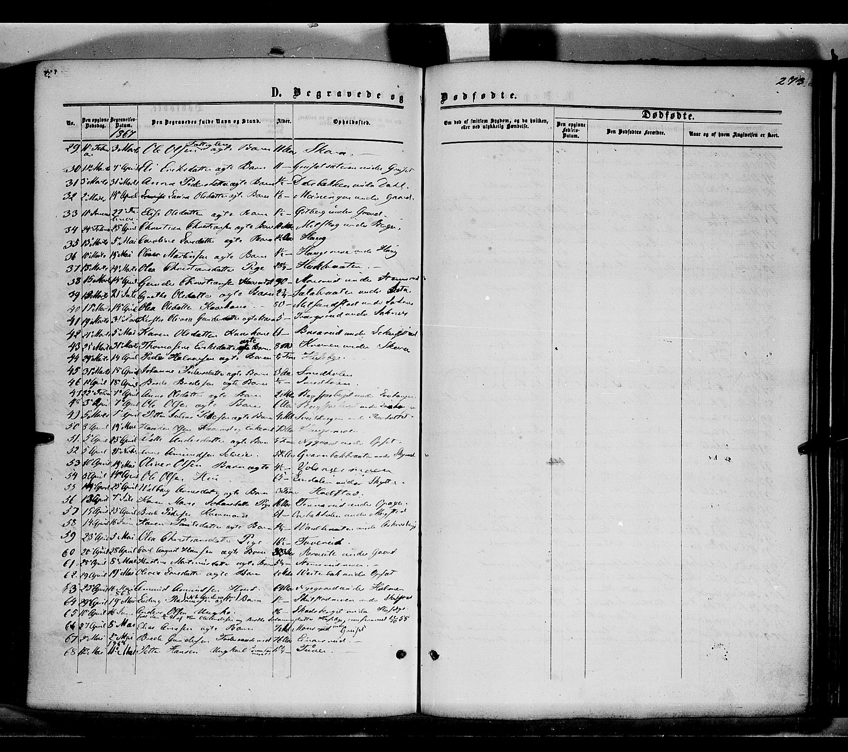 Grue prestekontor, SAH/PREST-036/H/Ha/Haa/L0010: Parish register (official) no. 10, 1864-1873, p. 273