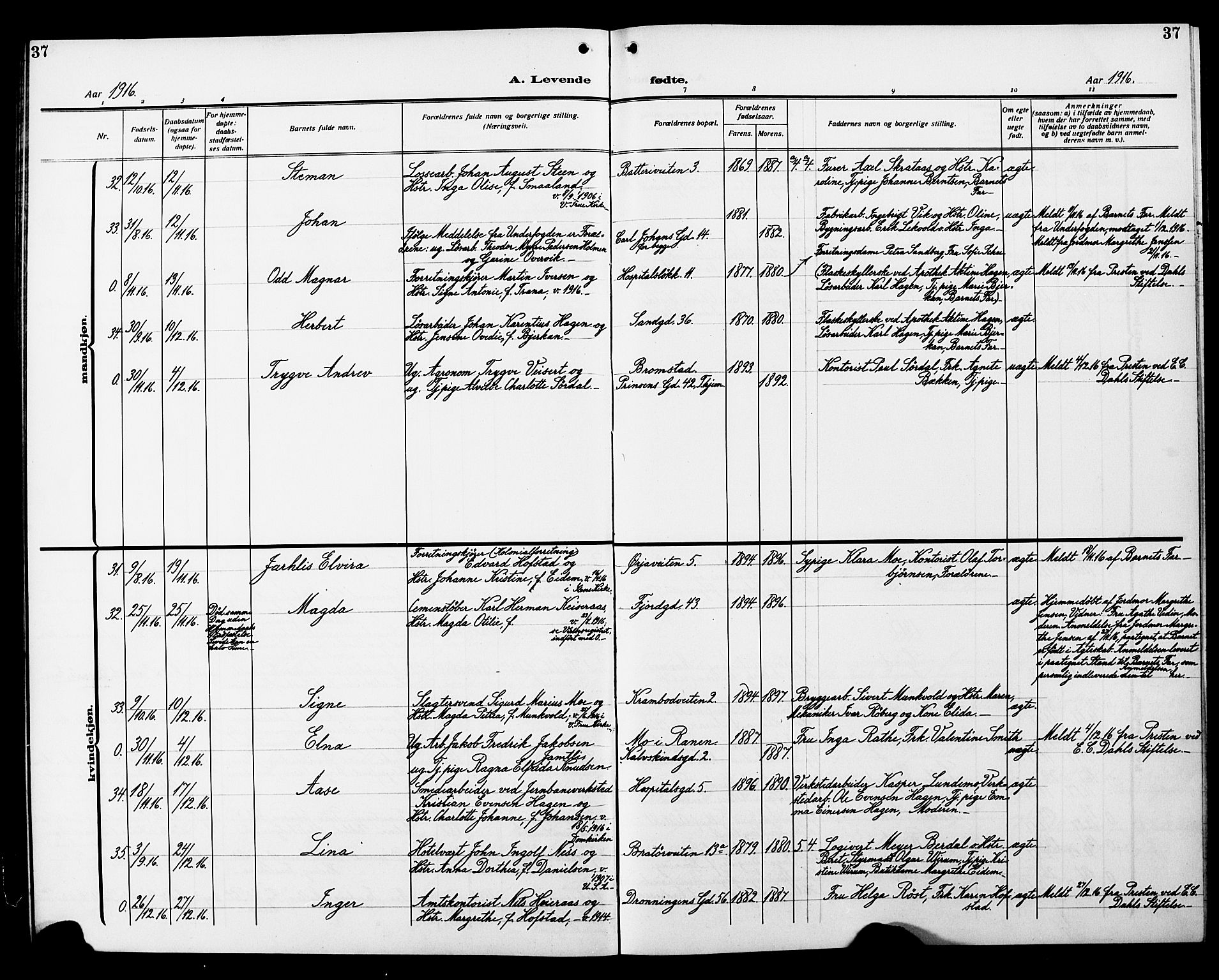 Ministerialprotokoller, klokkerbøker og fødselsregistre - Sør-Trøndelag, AV/SAT-A-1456/602/L0147: Parish register (copy) no. 602C15, 1911-1924, p. 37