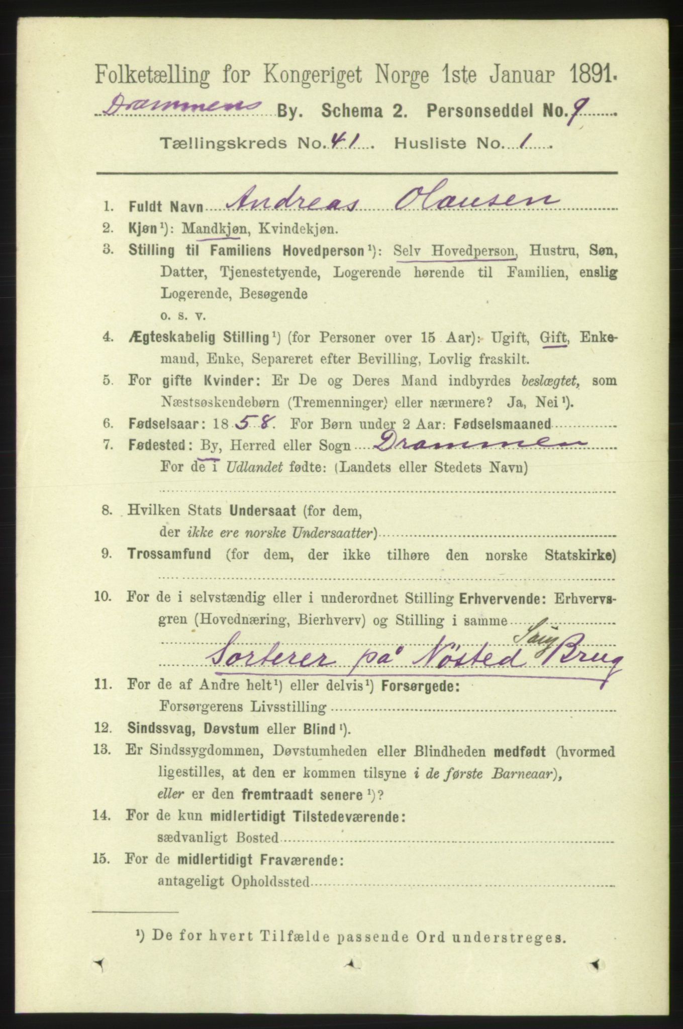 RA, 1891 census for 0602 Drammen, 1891, p. 24160