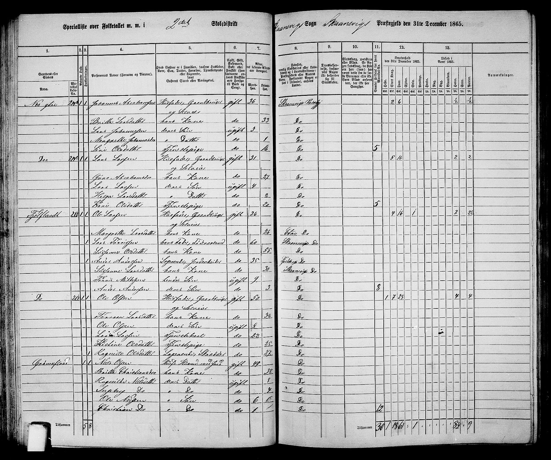 RA, 1865 census for Skånevik, 1865, p. 47