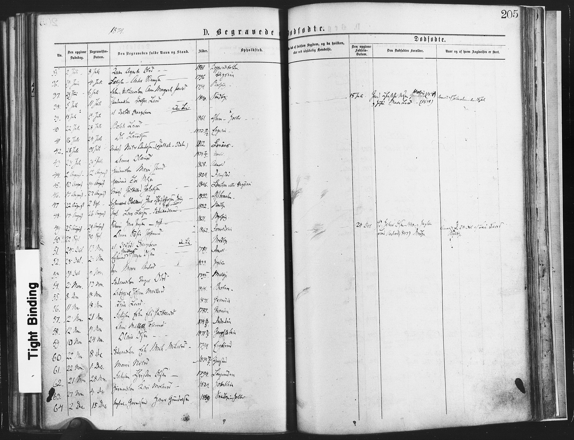 Nannestad prestekontor Kirkebøker, SAO/A-10414a/F/Fa/L0013: Parish register (official) no. I 13, 1873-1880, p. 205