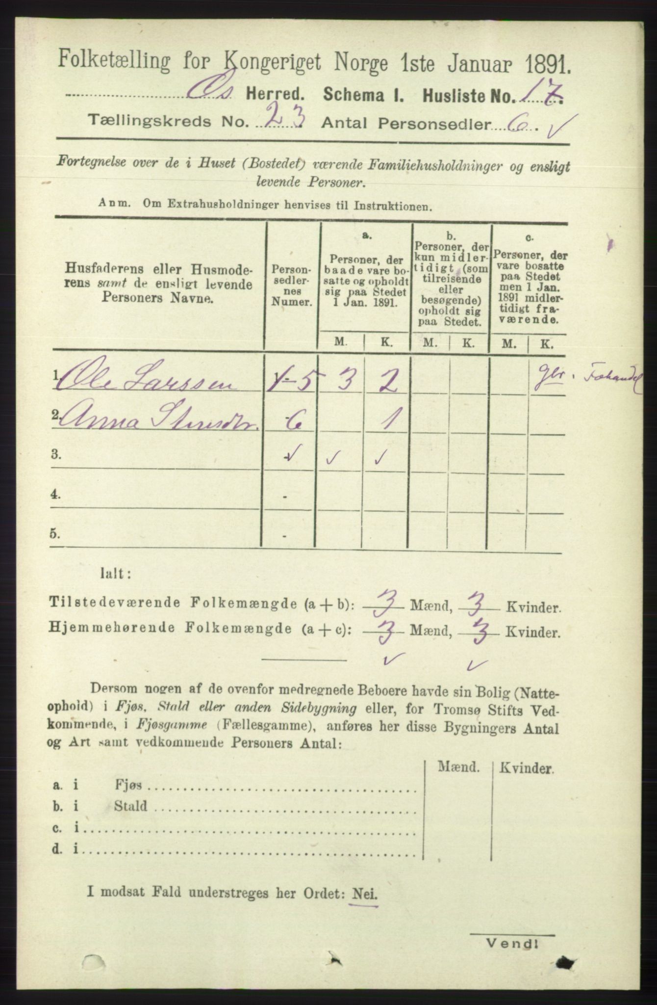 RA, 1891 census for 1243 Os, 1891, p. 5063