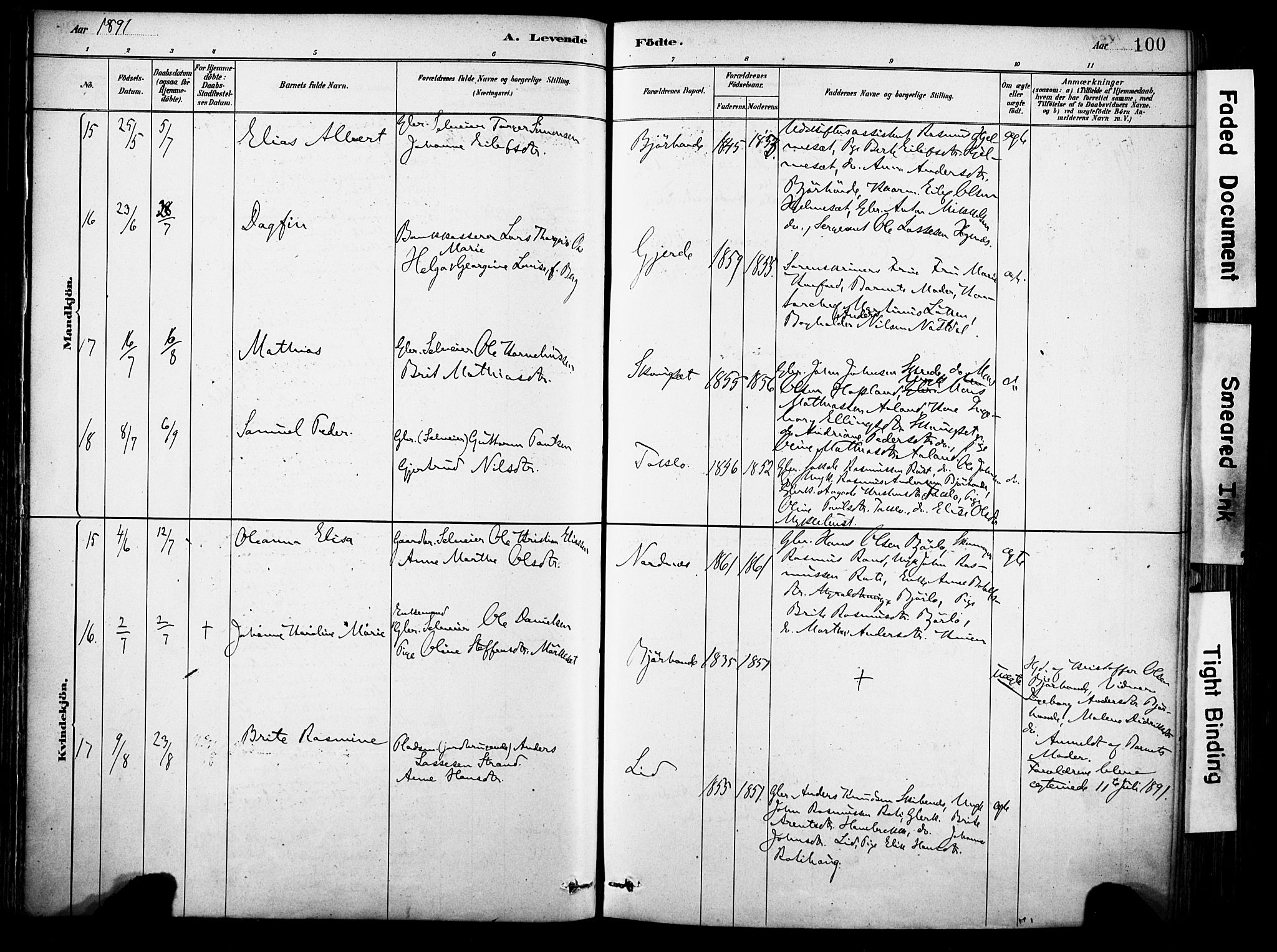 Eid sokneprestembete, AV/SAB-A-82301/H/Haa/Haab/L0001: Parish register (official) no. B 1, 1879-1906, p. 100