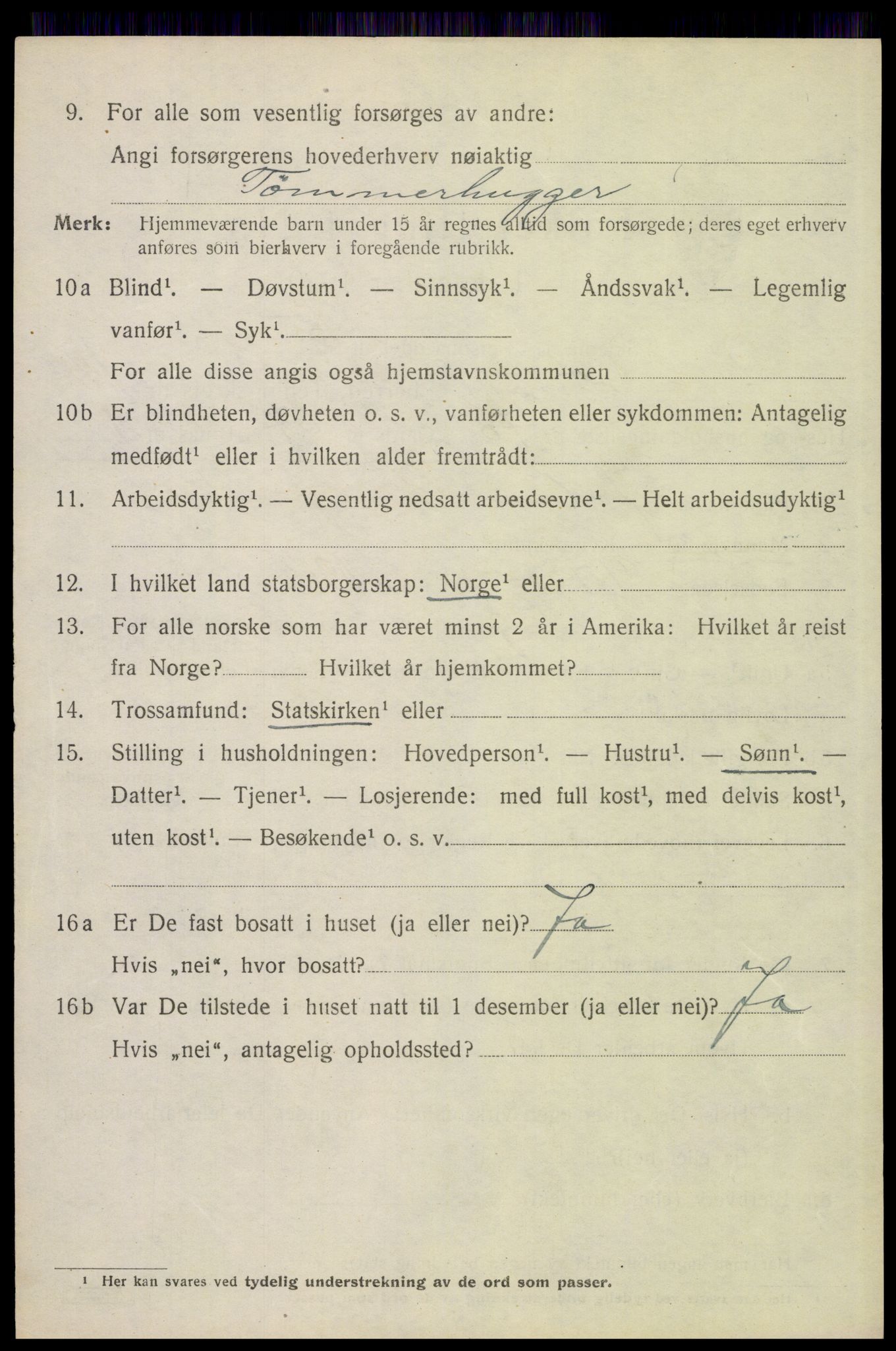 SAH, 1920 census for Trysil, 1920, p. 12616