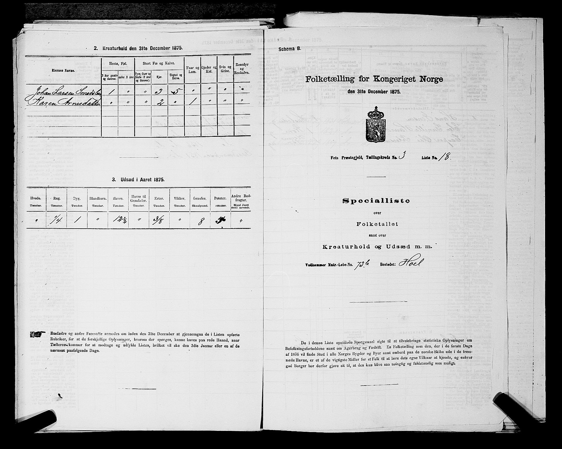 RA, 1875 census for 0227P Fet, 1875, p. 439