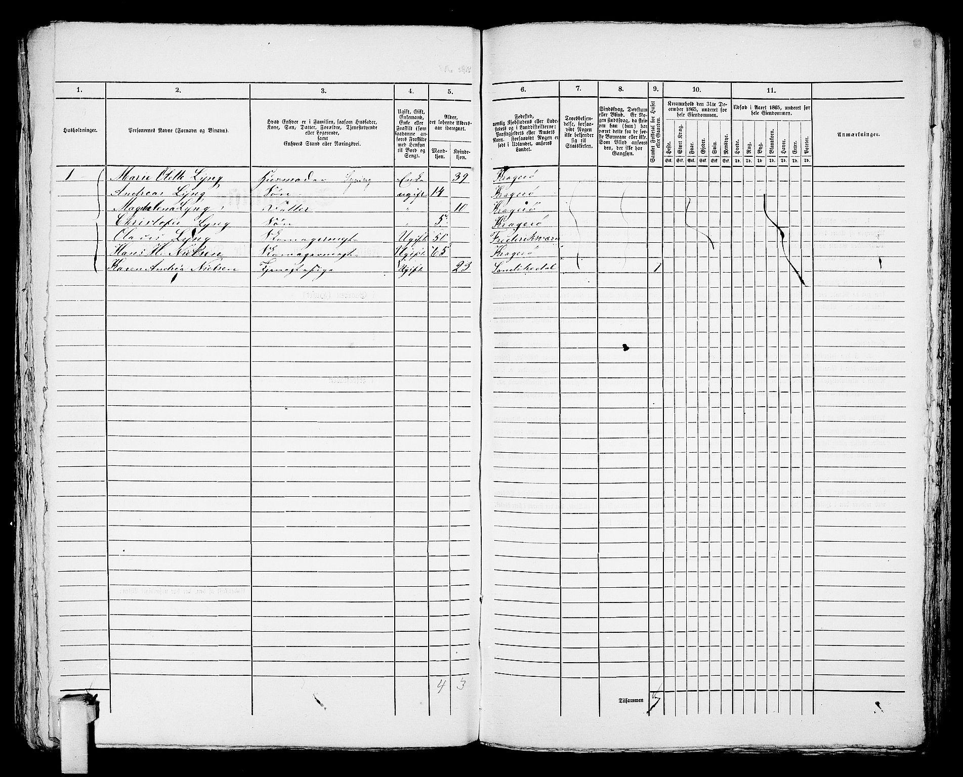 RA, 1865 census for Kragerø/Kragerø, 1865, p. 1045