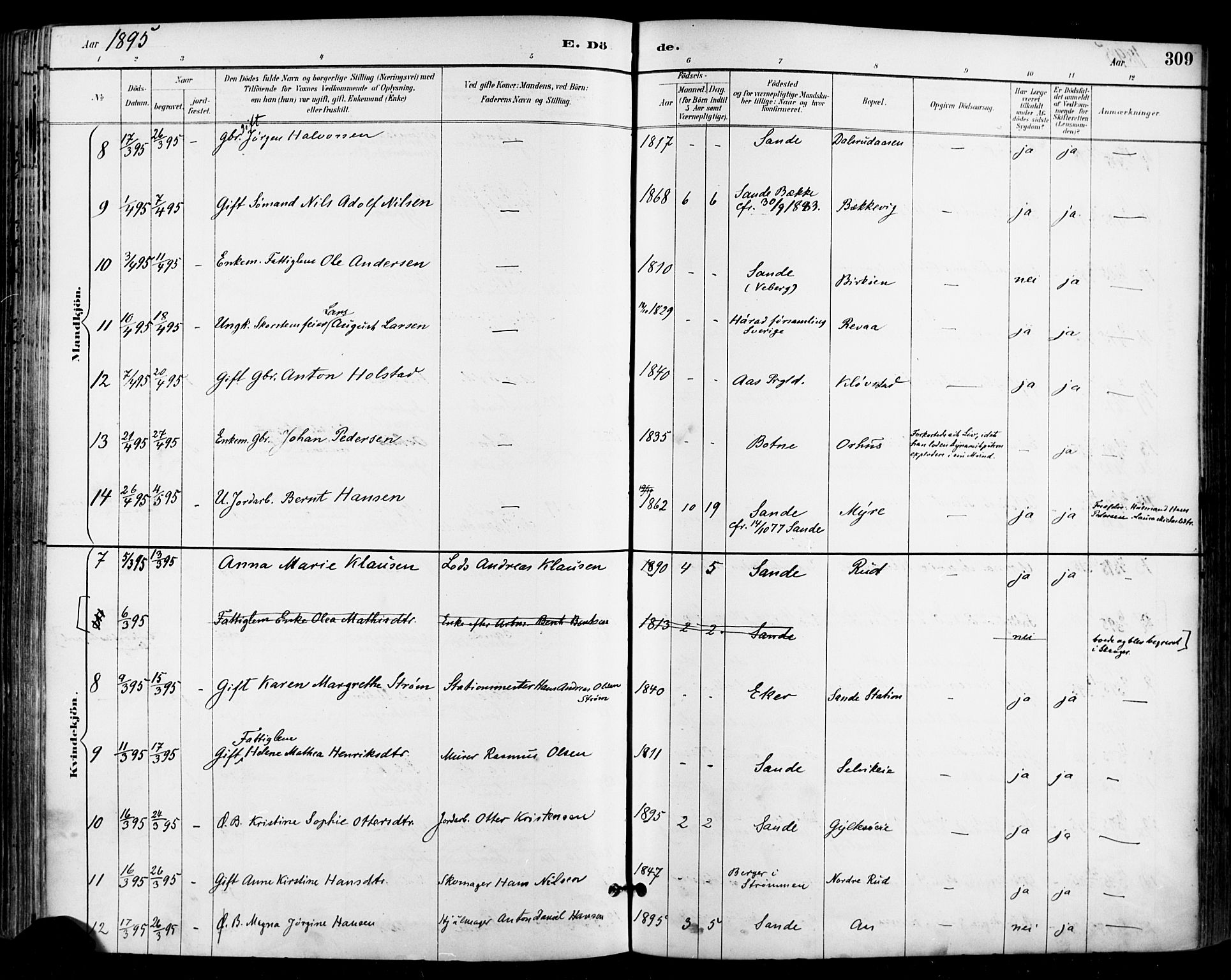 Sande Kirkebøker, AV/SAKO-A-53/F/Fa/L0007: Parish register (official) no. 7, 1888-1903, p. 309