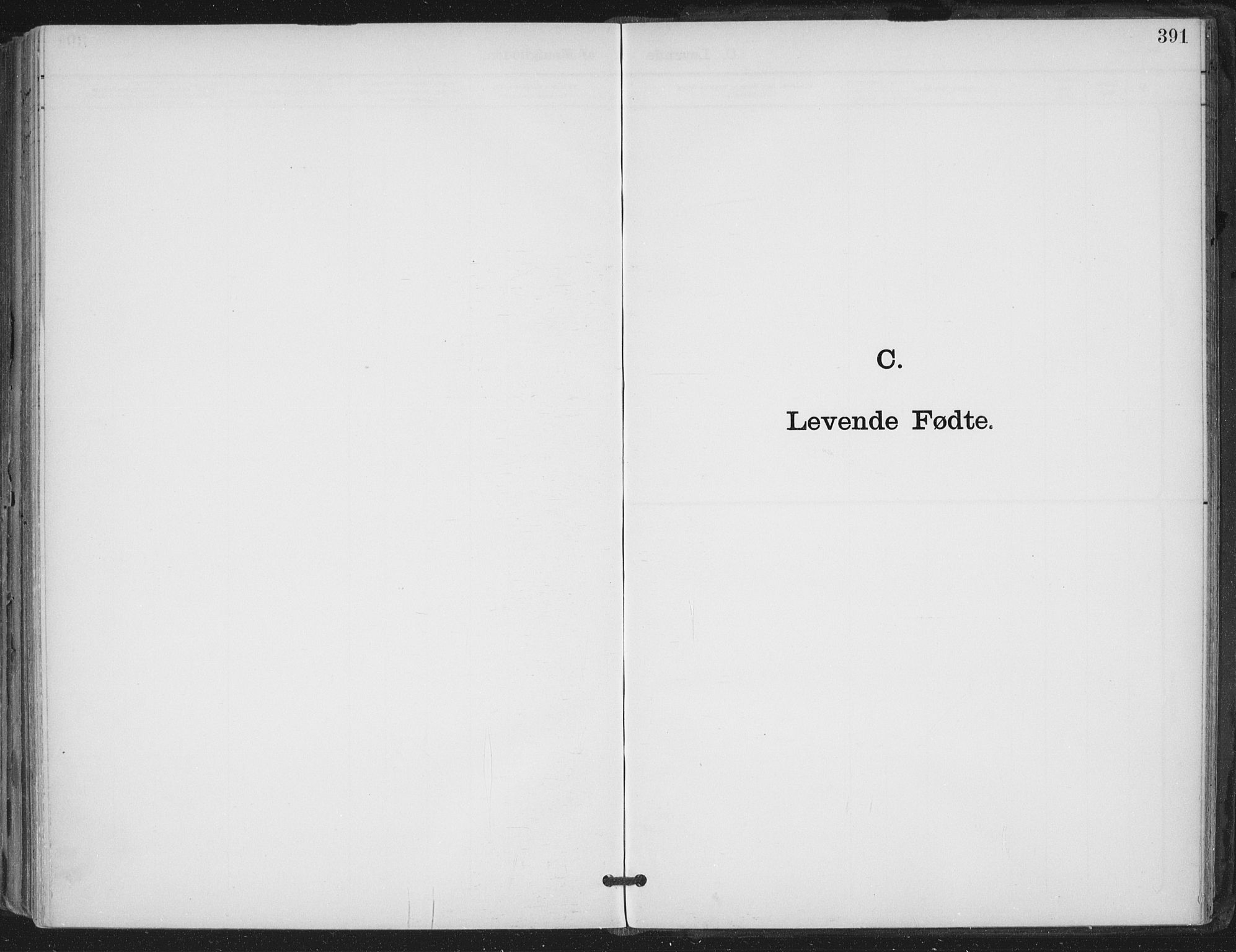 Trøgstad prestekontor Kirkebøker, AV/SAO-A-10925/F/Fa/L0011: Parish register (official) no. I 11, 1899-1919, p. 391