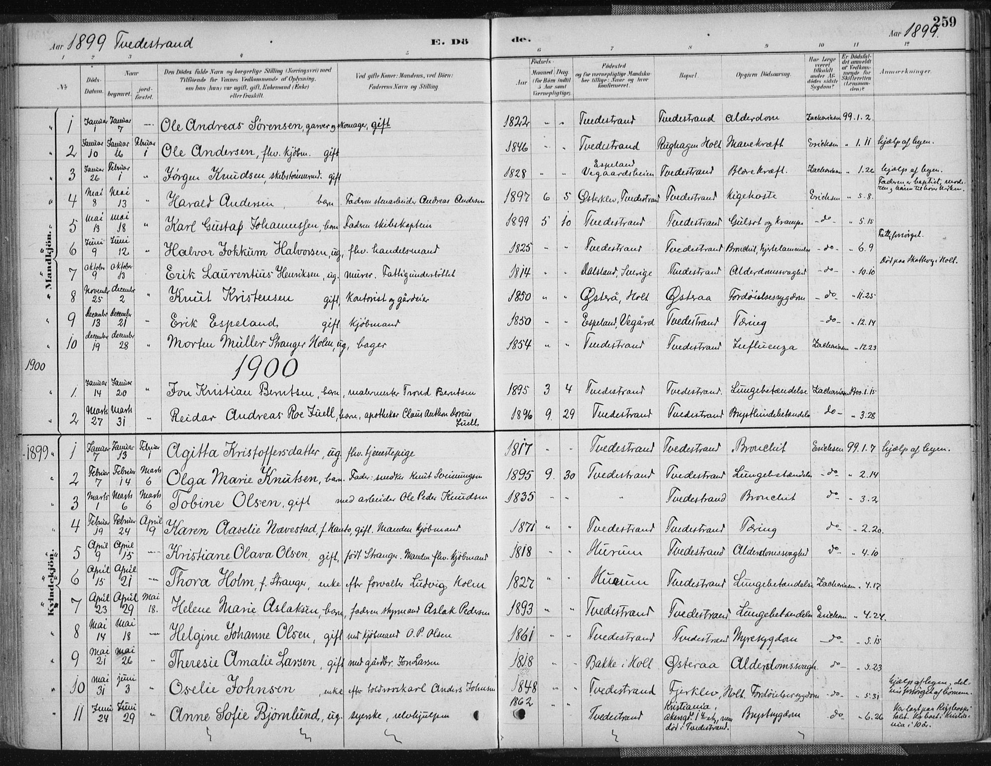 Tvedestrand sokneprestkontor, AV/SAK-1111-0042/F/Fa/L0001: Parish register (official) no. A 1, 1885-1916, p. 259