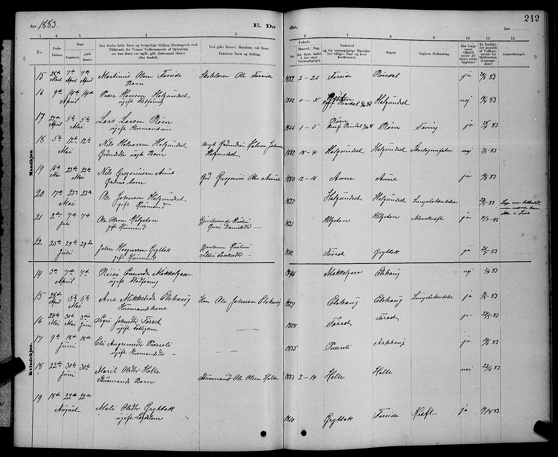 Ministerialprotokoller, klokkerbøker og fødselsregistre - Møre og Romsdal, AV/SAT-A-1454/598/L1077: Parish register (copy) no. 598C02, 1879-1891, p. 242