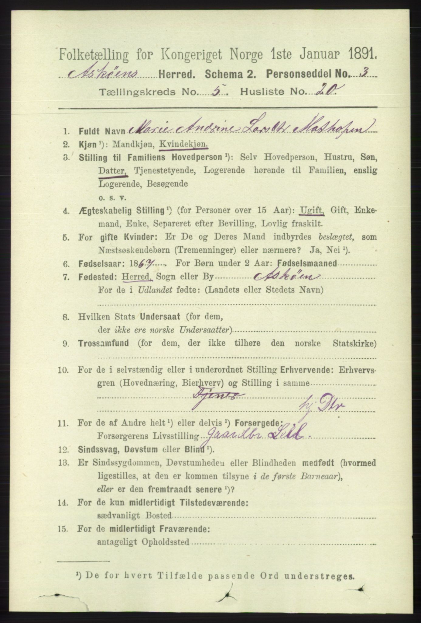 RA, 1891 census for 1247 Askøy, 1891, p. 3611