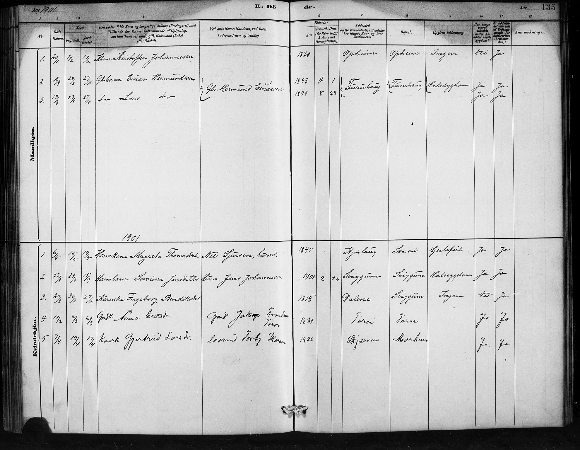 Jostedal sokneprestembete, SAB/A-80601/H/Hab/Habd/L0001: Parish register (copy) no. D 1, 1882-1910, p. 135