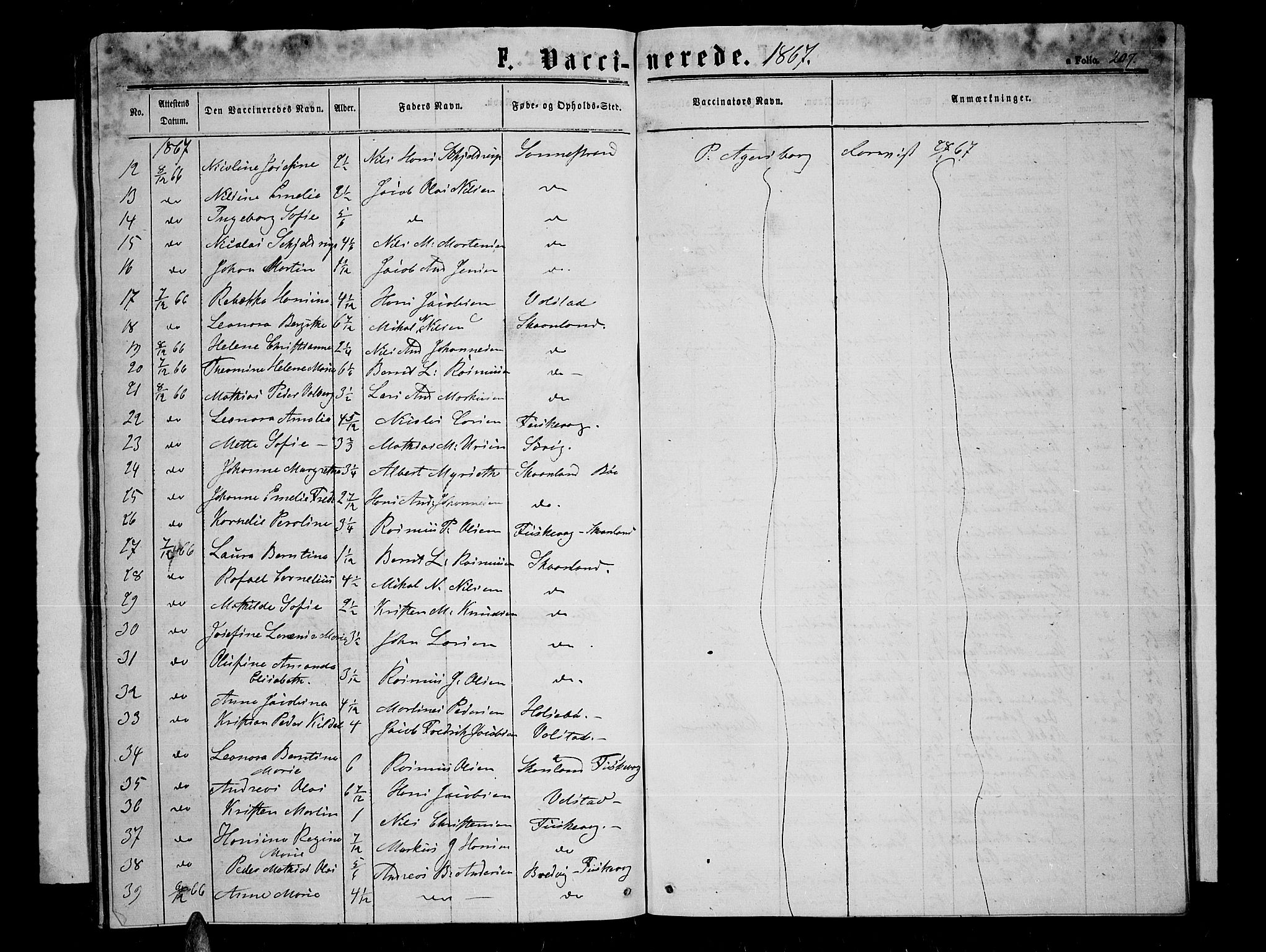 Trondenes sokneprestkontor, AV/SATØ-S-1319/H/Hb/L0008klokker: Parish register (copy) no. 8, 1863-1869, p. 207