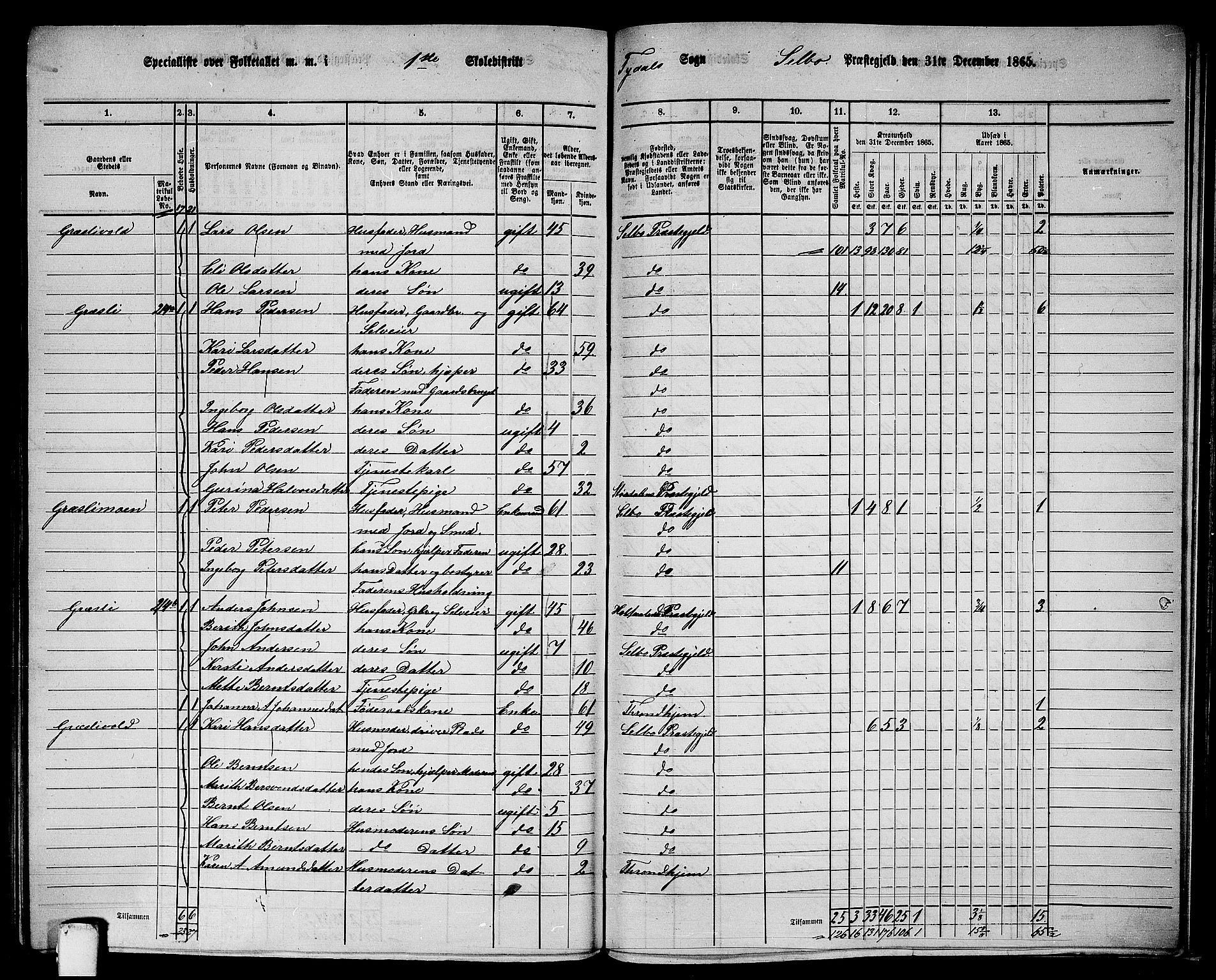 RA, 1865 census for Selbu, 1865, p. 226