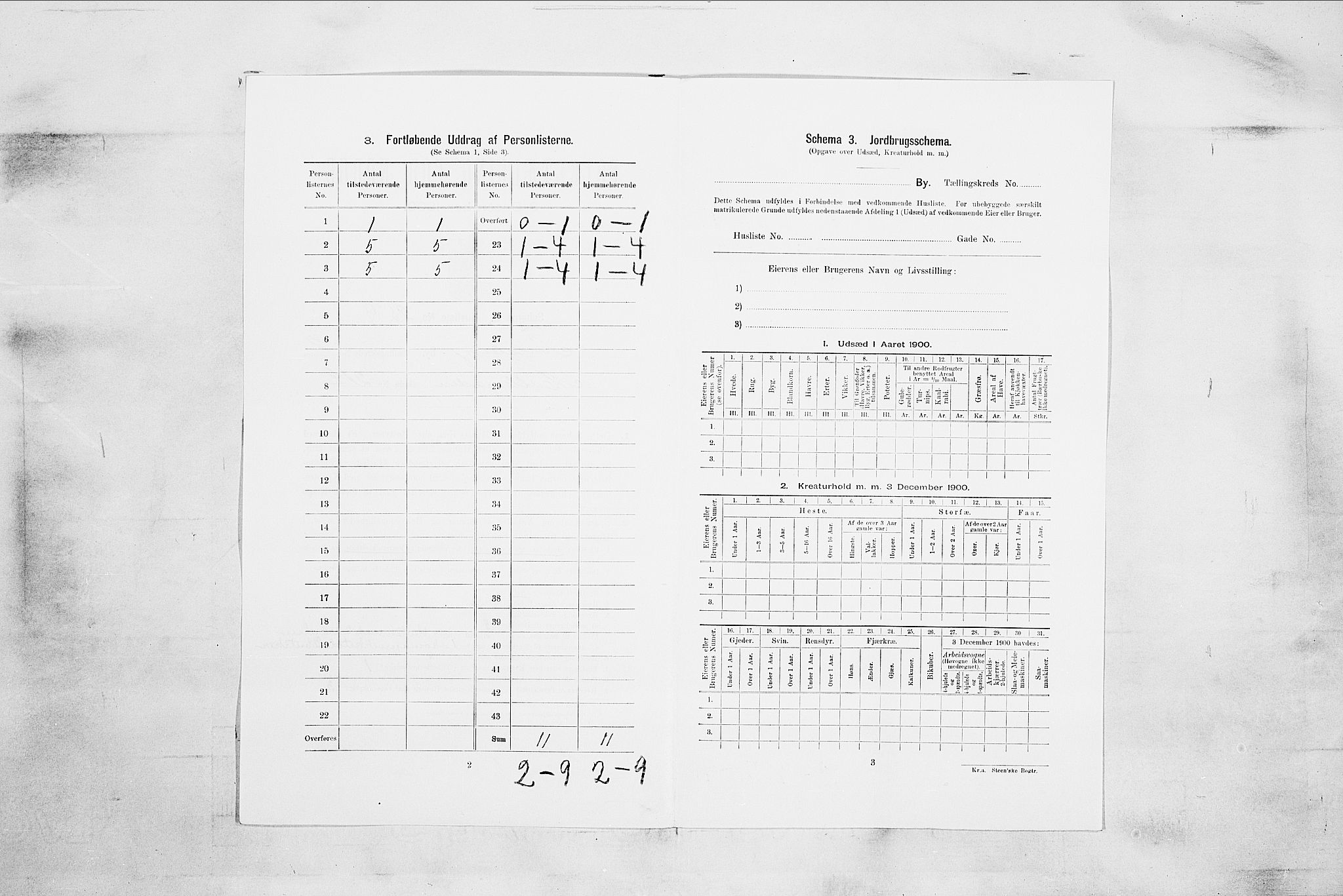 RA, 1900 census for Tønsberg, 1900, p. 294